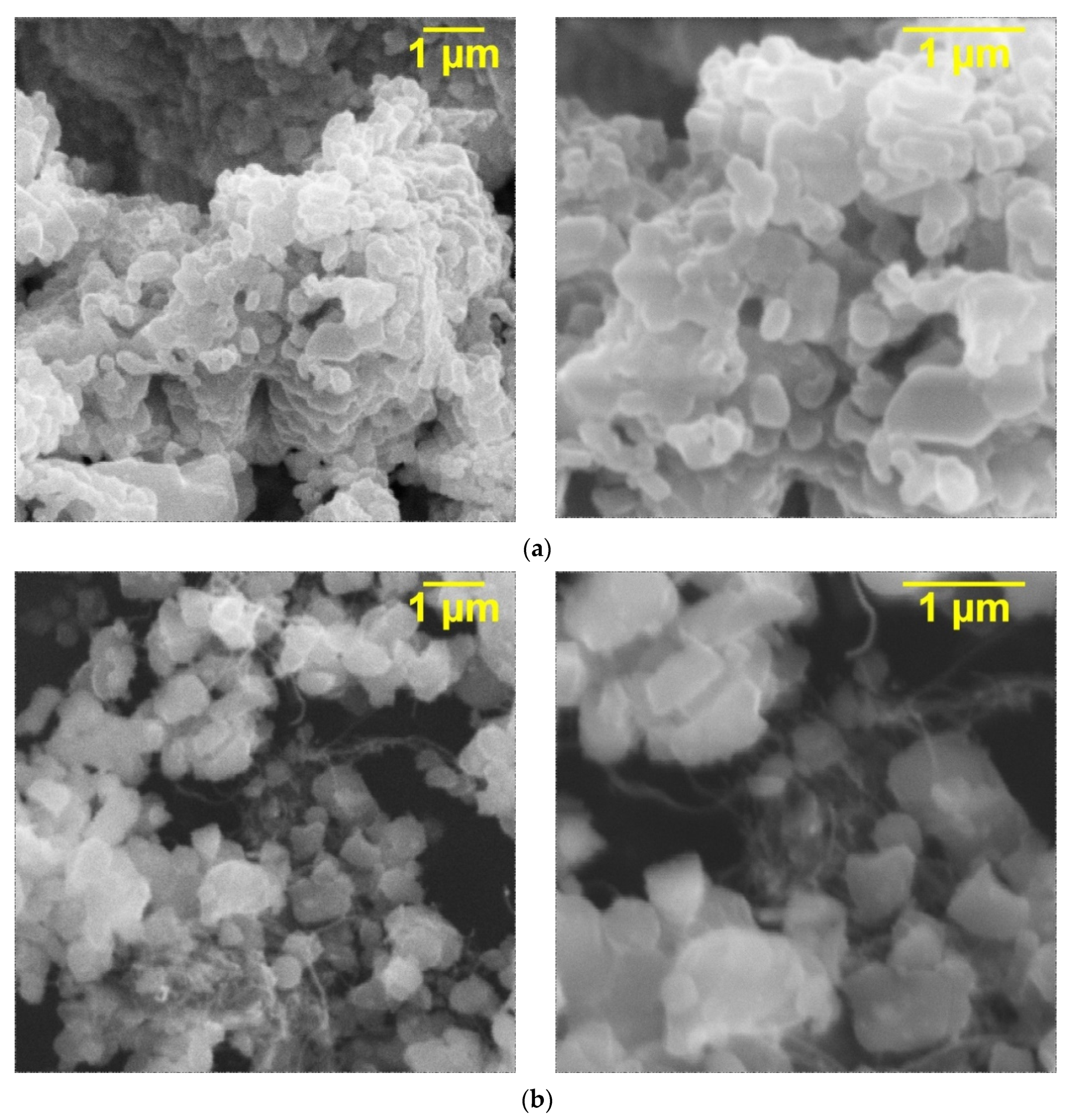 Polymers 14 00448 g006