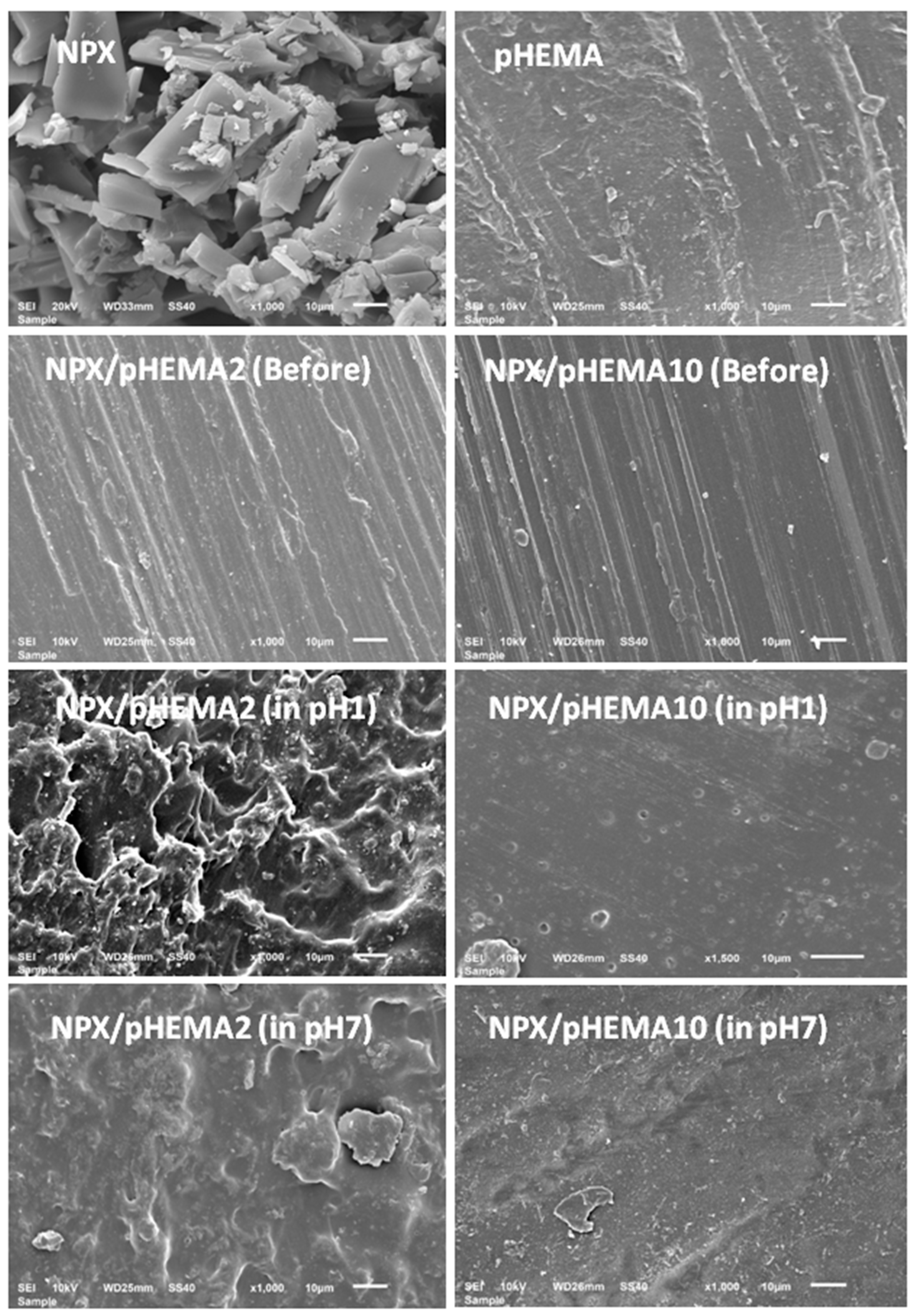 Polymers 14 00450 g016 Polymers 14 00450 g016