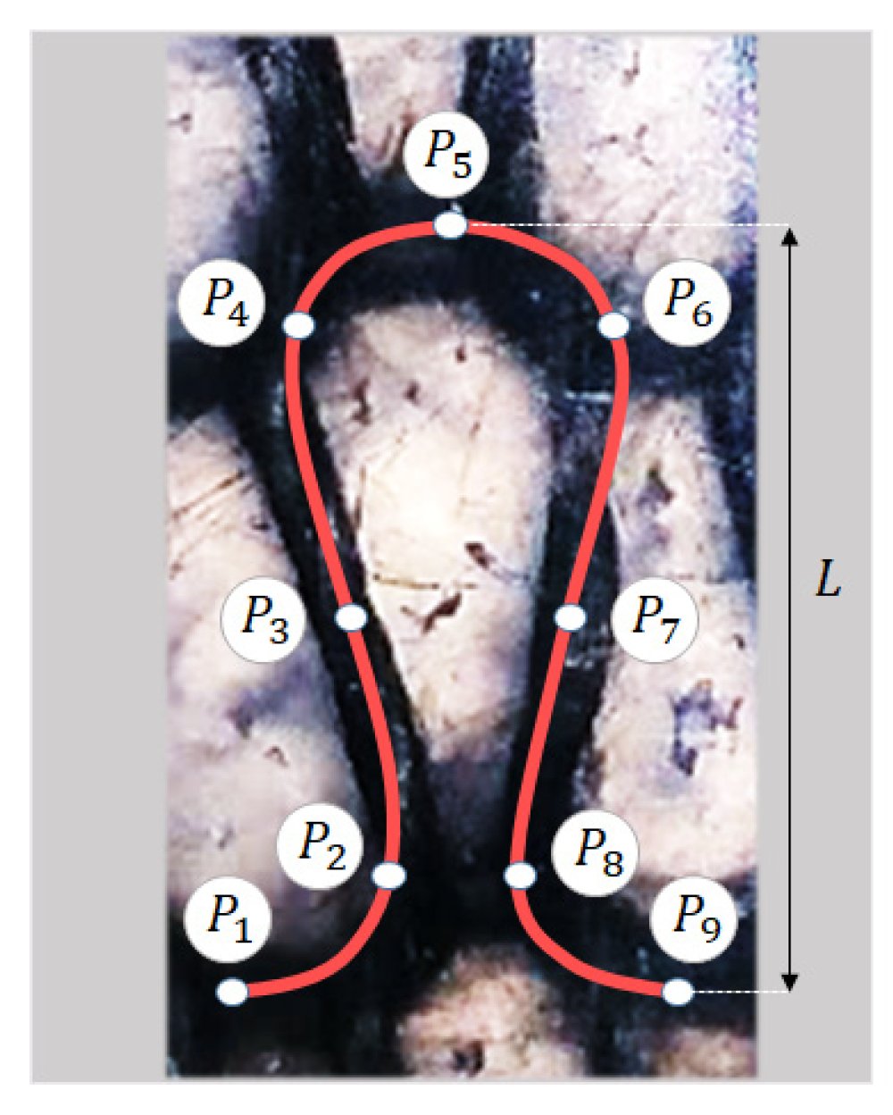 Polymers 14 00451 g002
