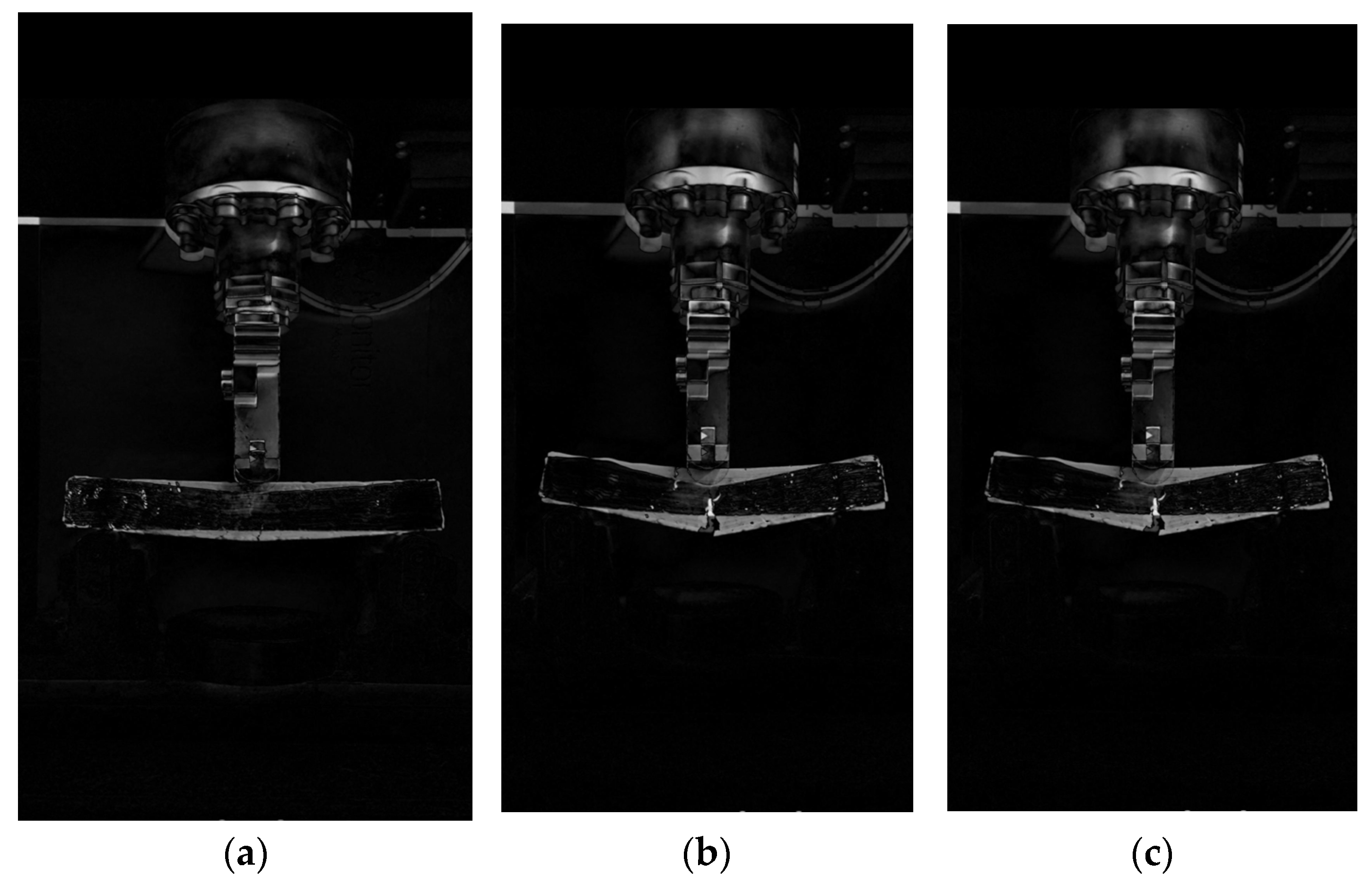 Polymers 14 00453 g010