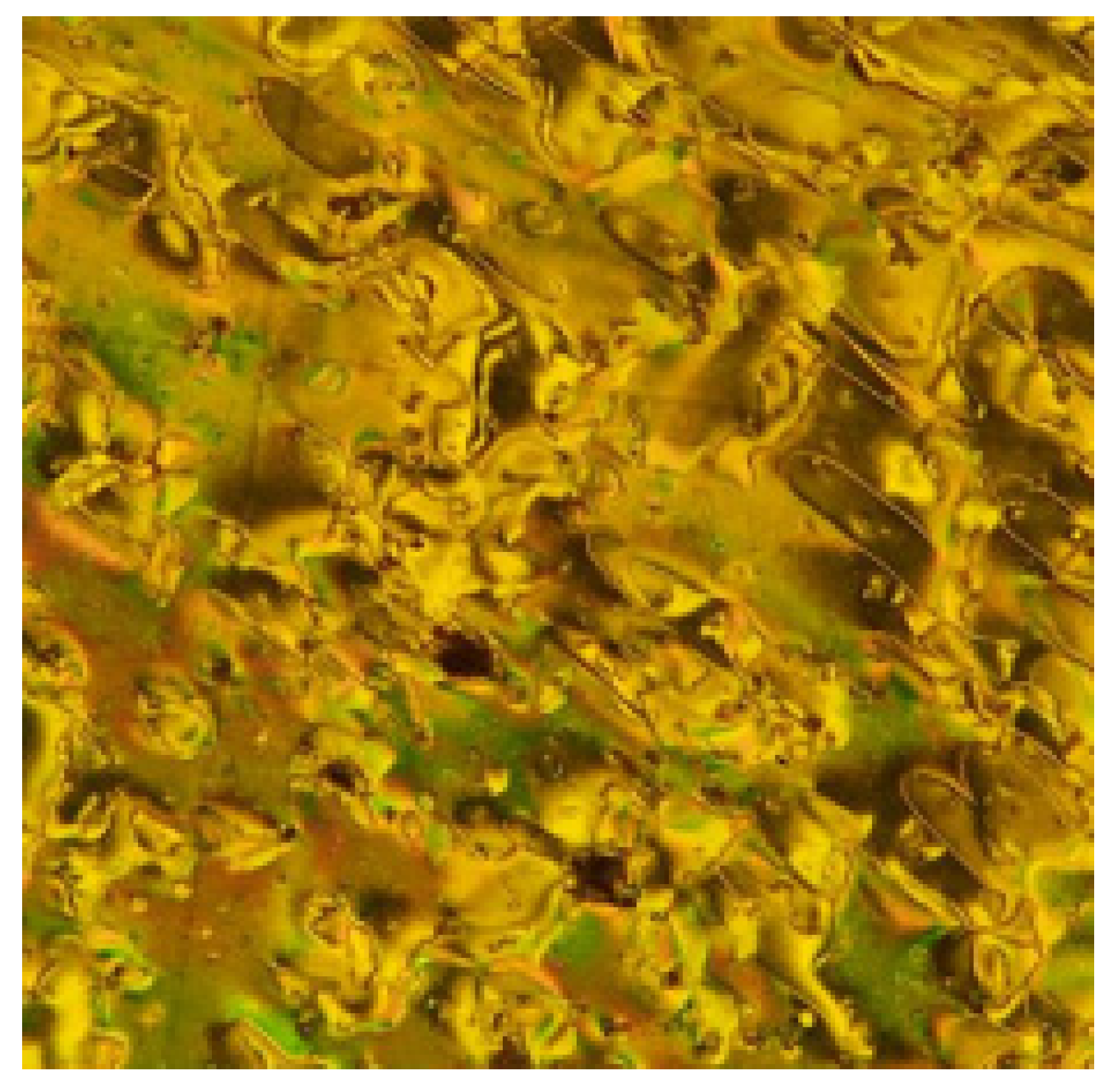 Polymers 14 00456 g003