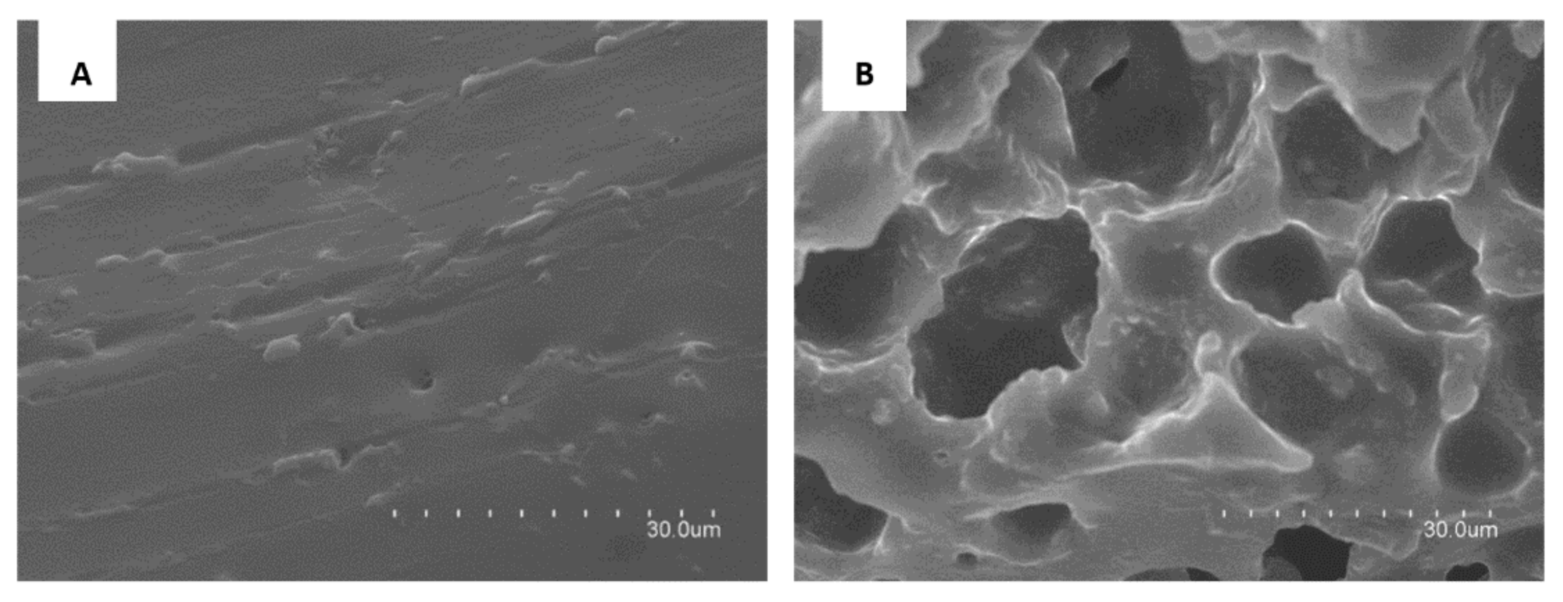 Polymers 14 00464 g001