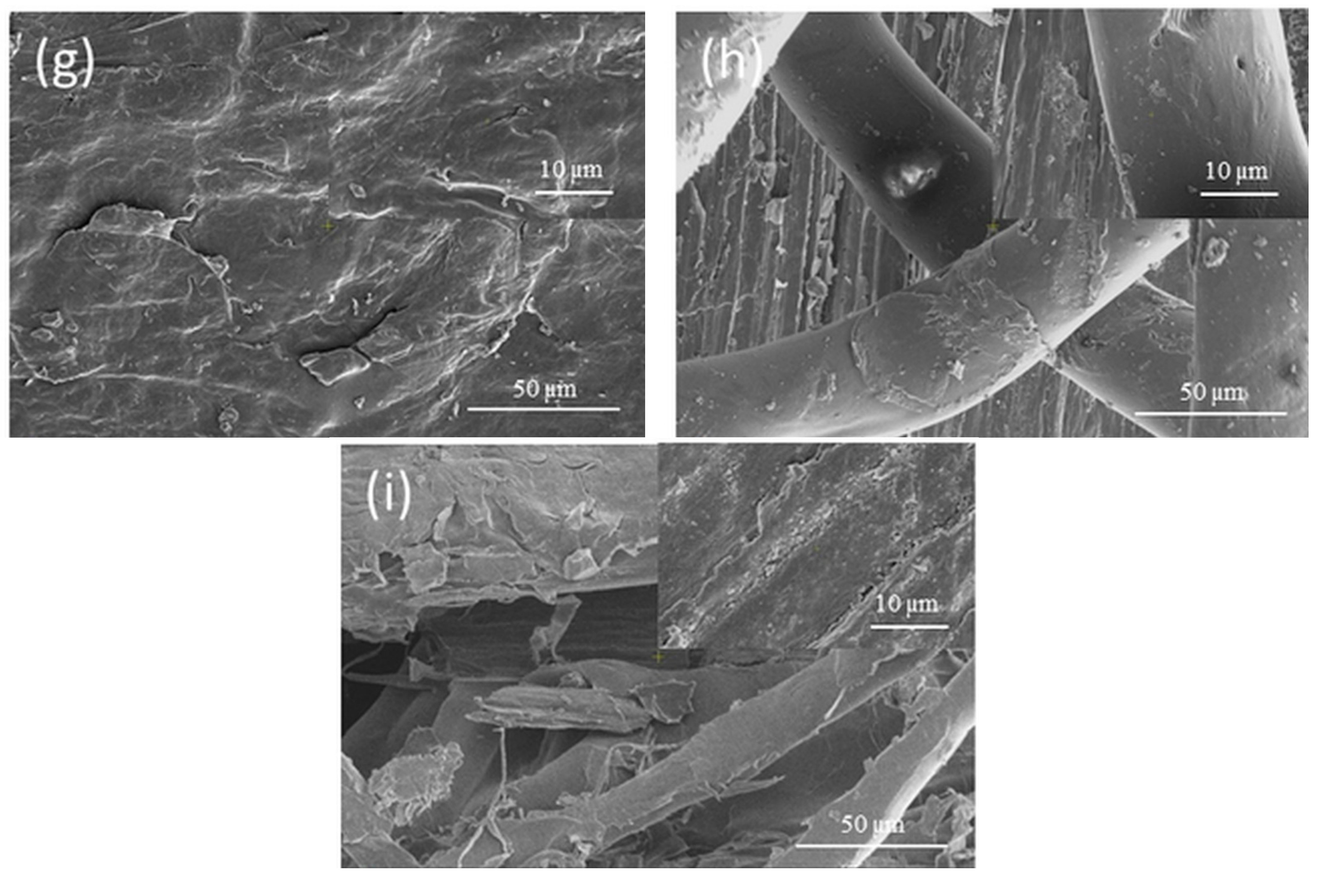 Polymers 14 00481 g011b