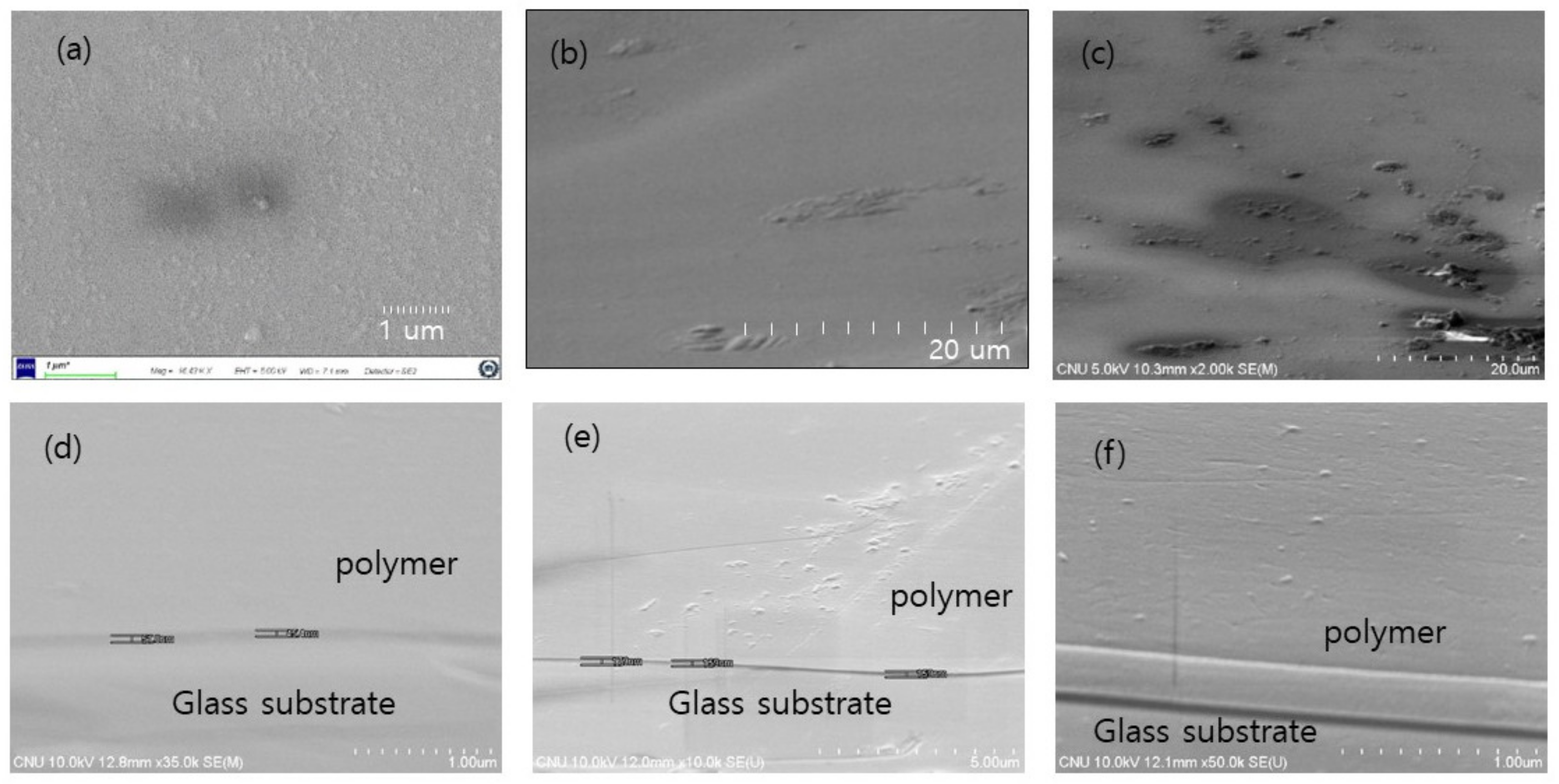 Polymers 14 00483 g008