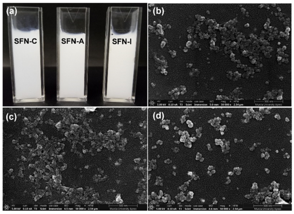 Polymers 14 00498 g001