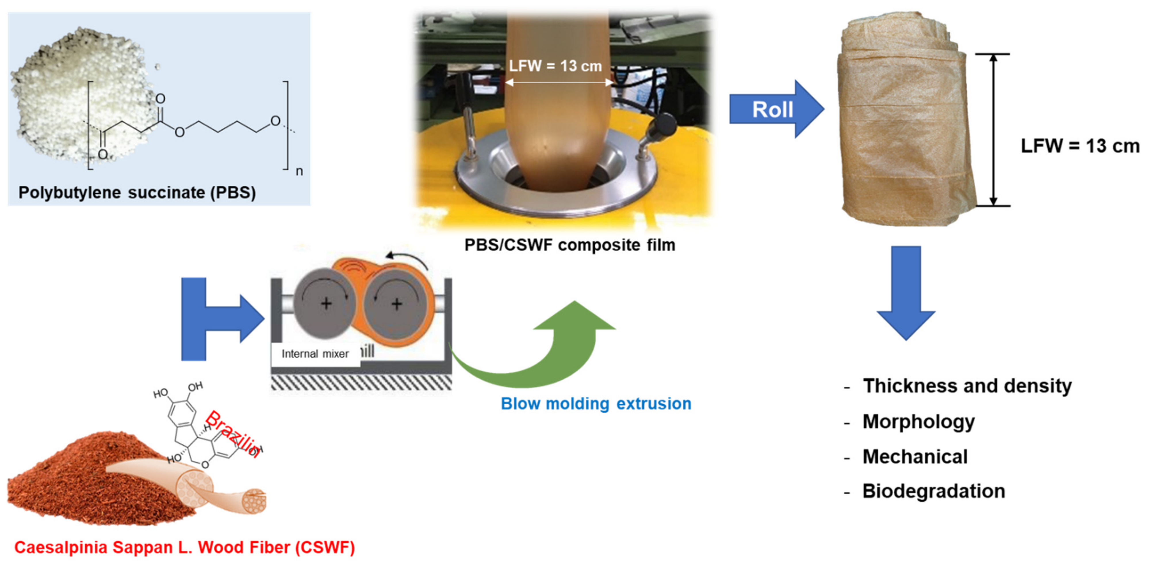 Polymers 14 00499 g001