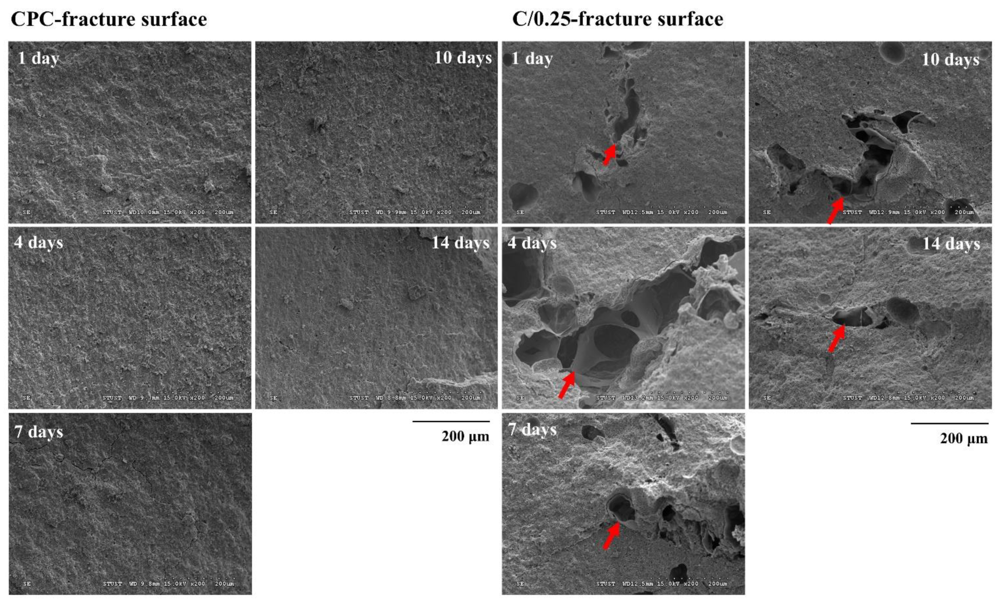 Polymers 14 00505 g002