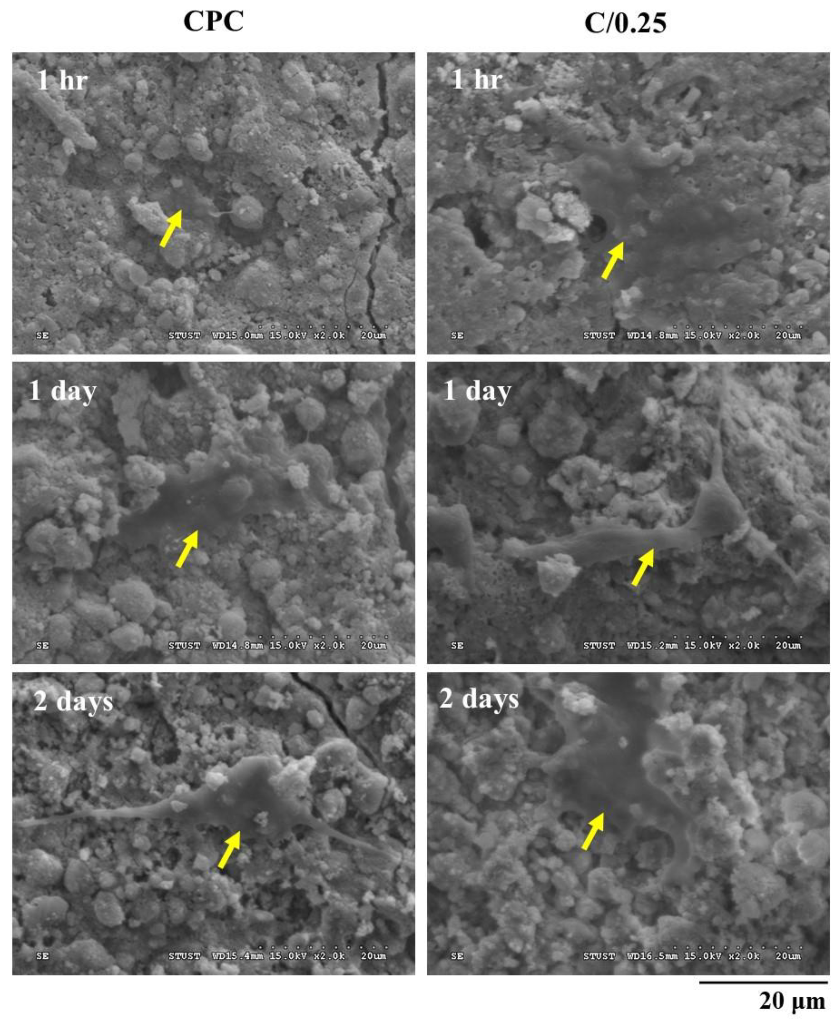 Polymers 14 00505 g005