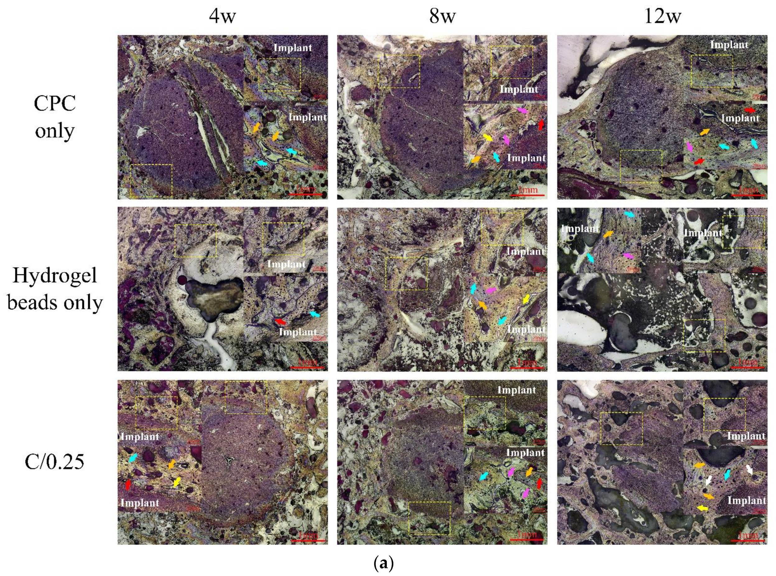 Polymers 14 00505 g007a