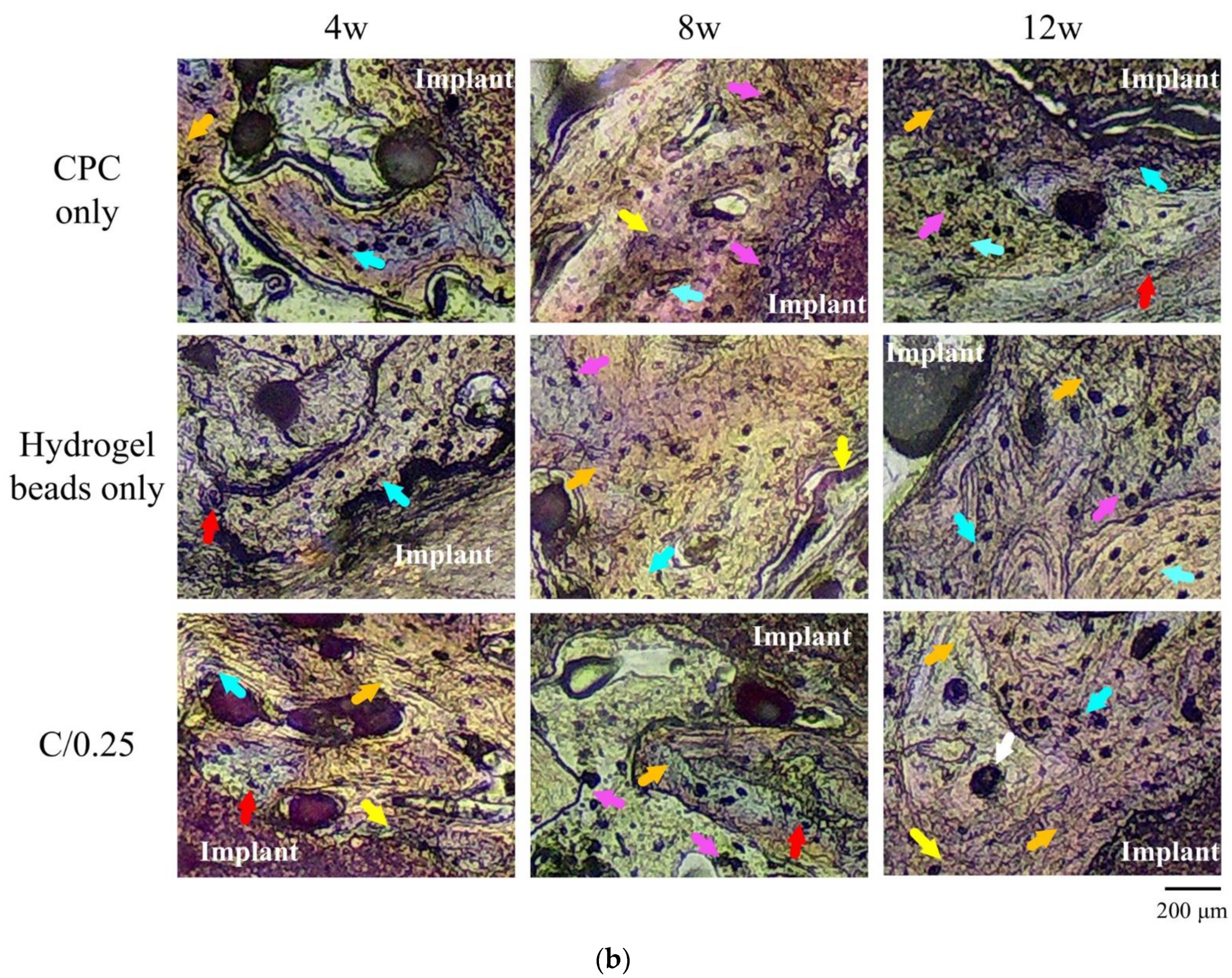 Polymers 14 00505 g007b