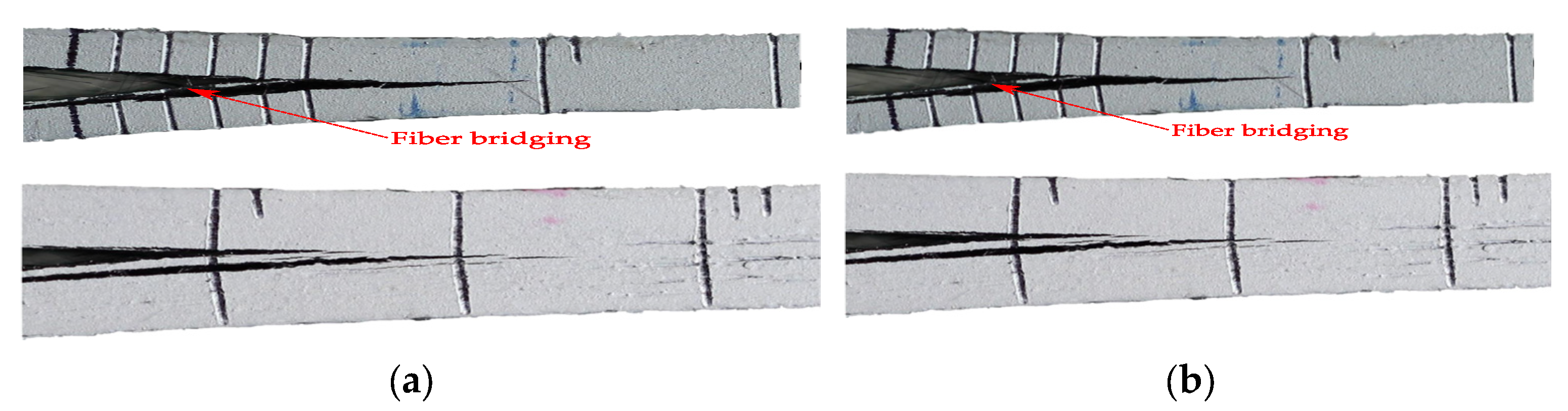 Polymers 14 00506 g013