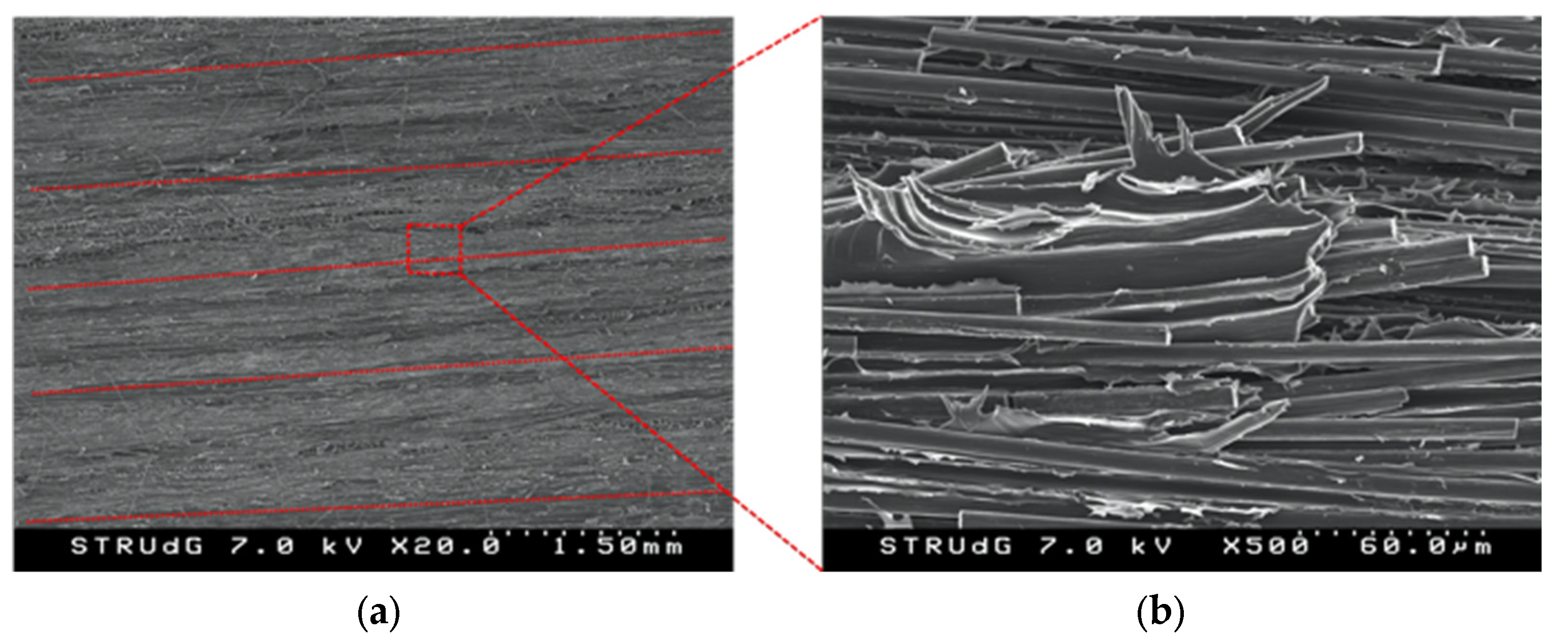 Polymers 14 00506 g015