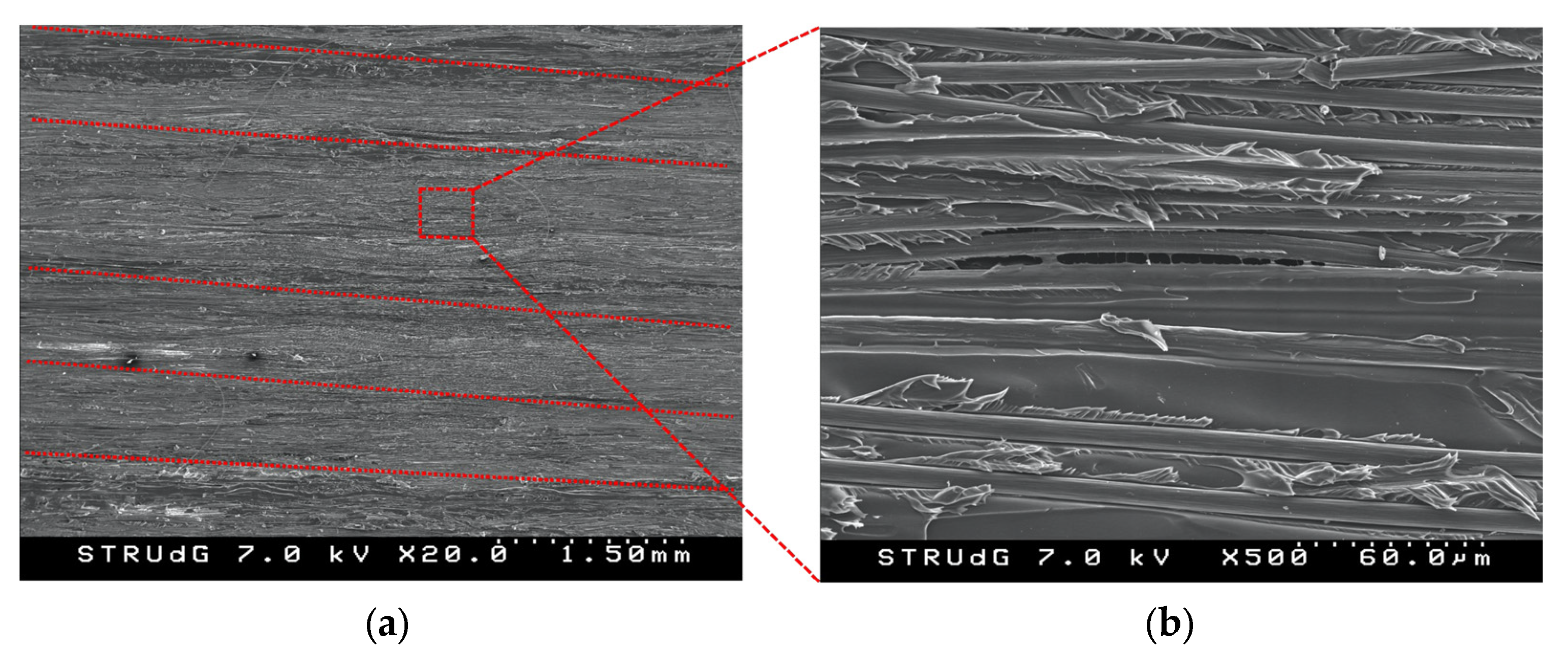 Polymers 14 00506 g017