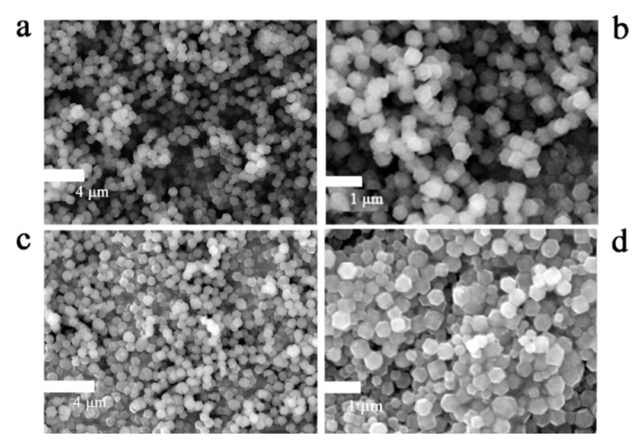 Polymers 14 00511 g004
