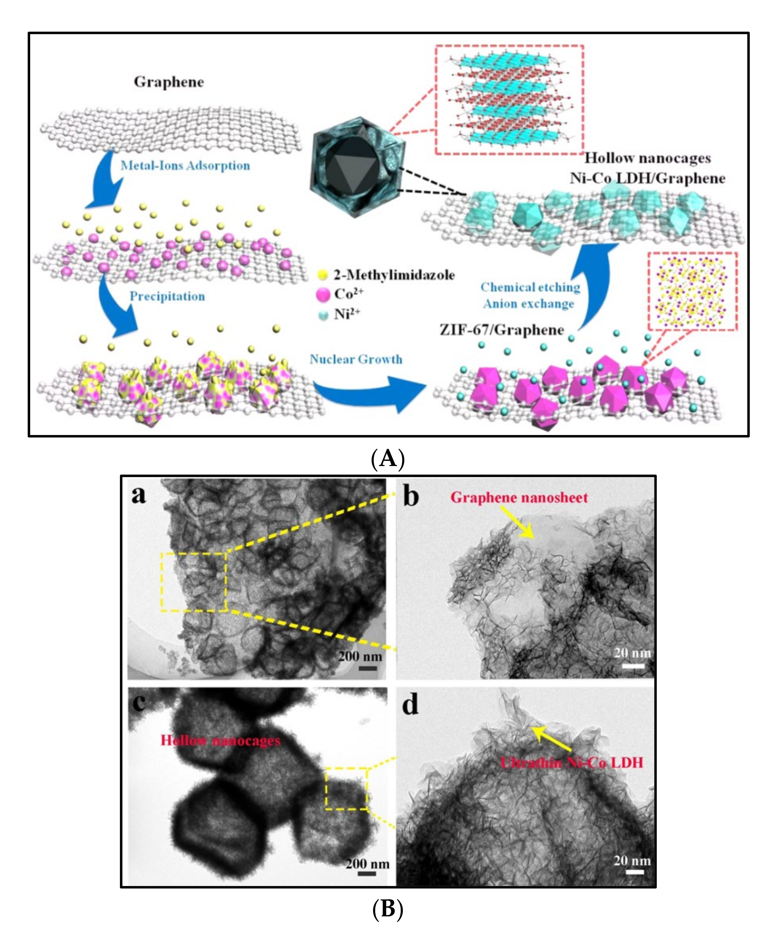 Polymers 14 00511 g006