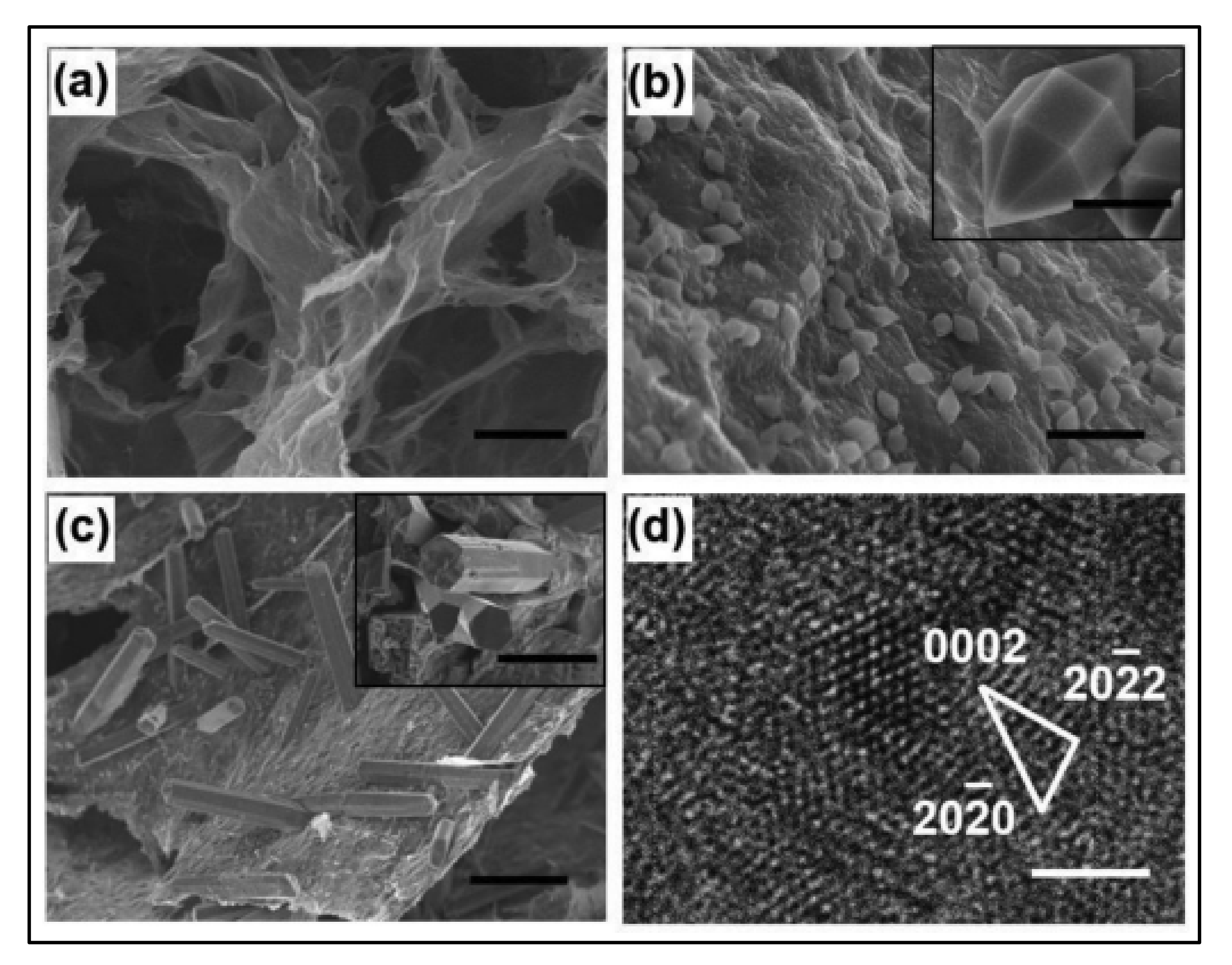 Polymers 14 00511 g009