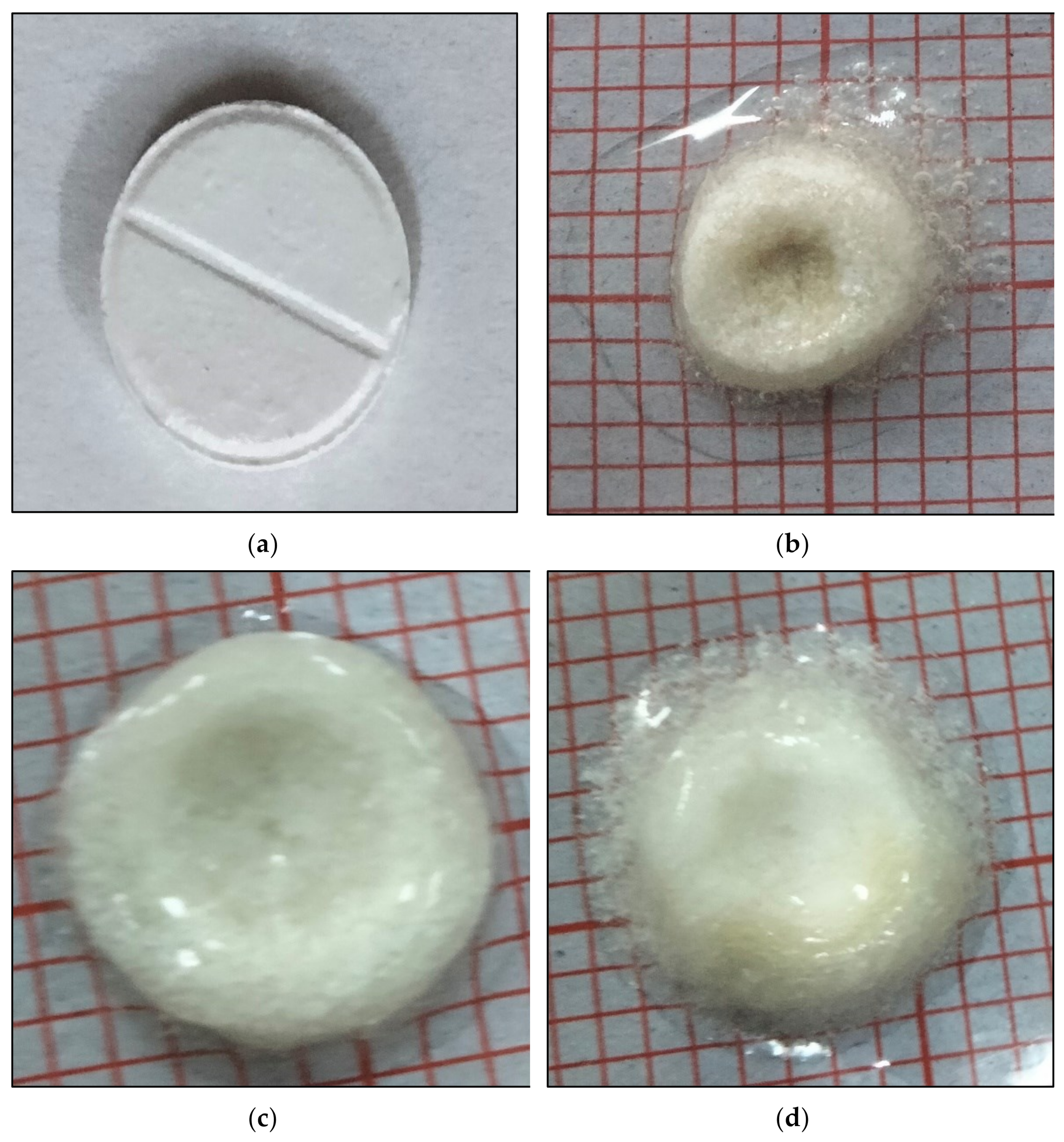 Polymers 14 00519 g004