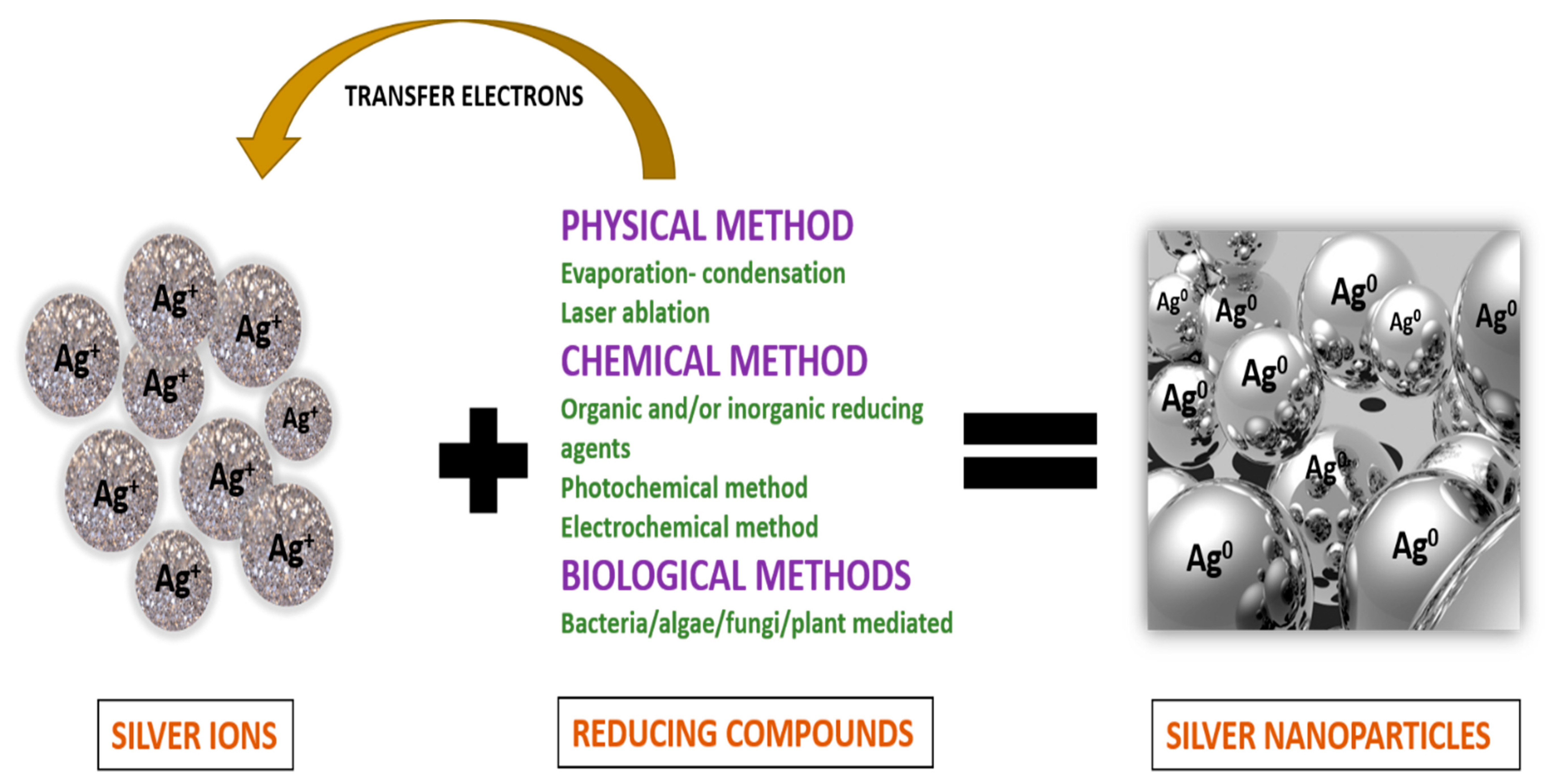Polymers 14 00521 g001
