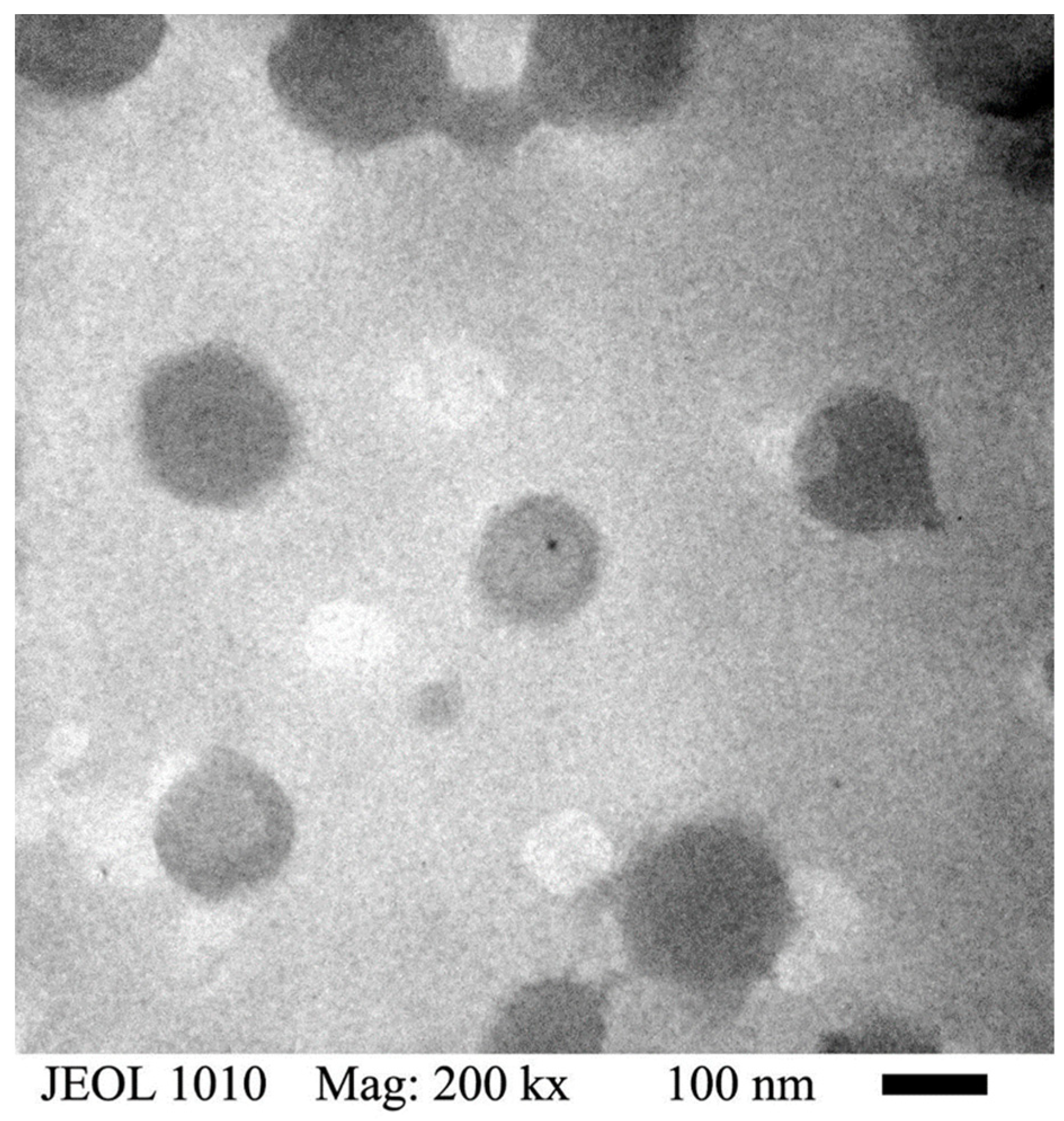 Polymers 14 00522 g006 Polymers 14 00522 g006