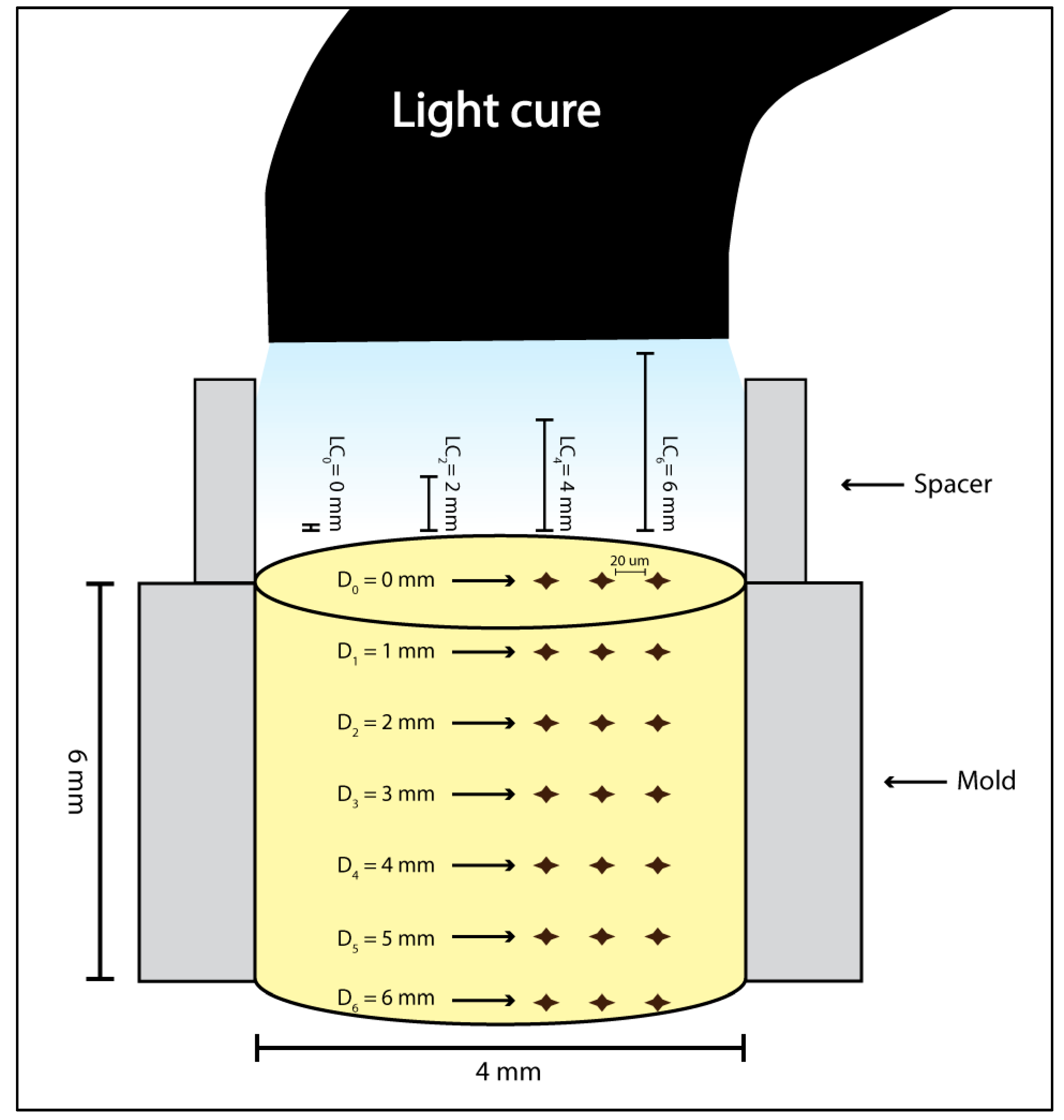 Polymers 14 00528 g001