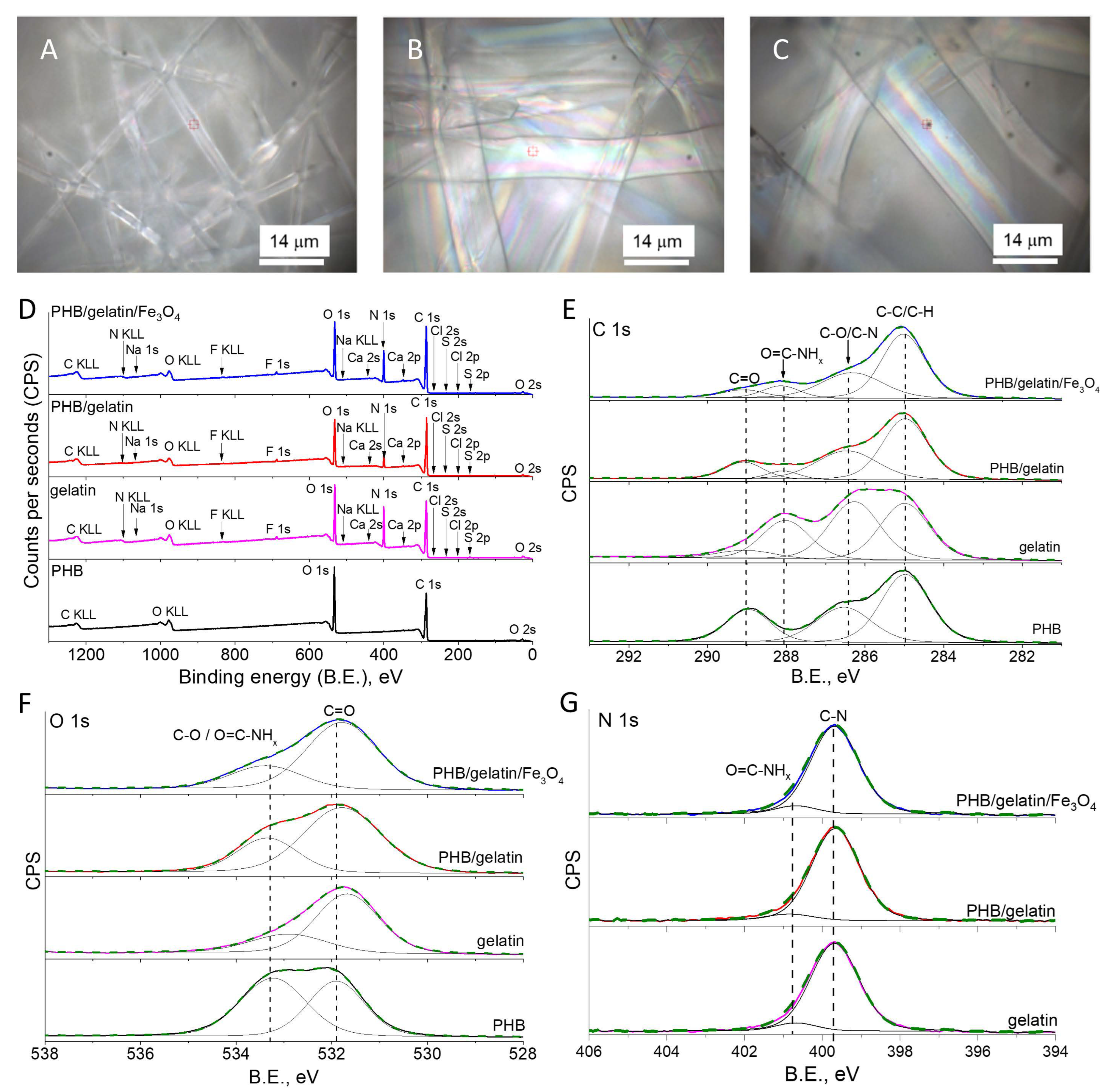 Polymers 14 00529 g003