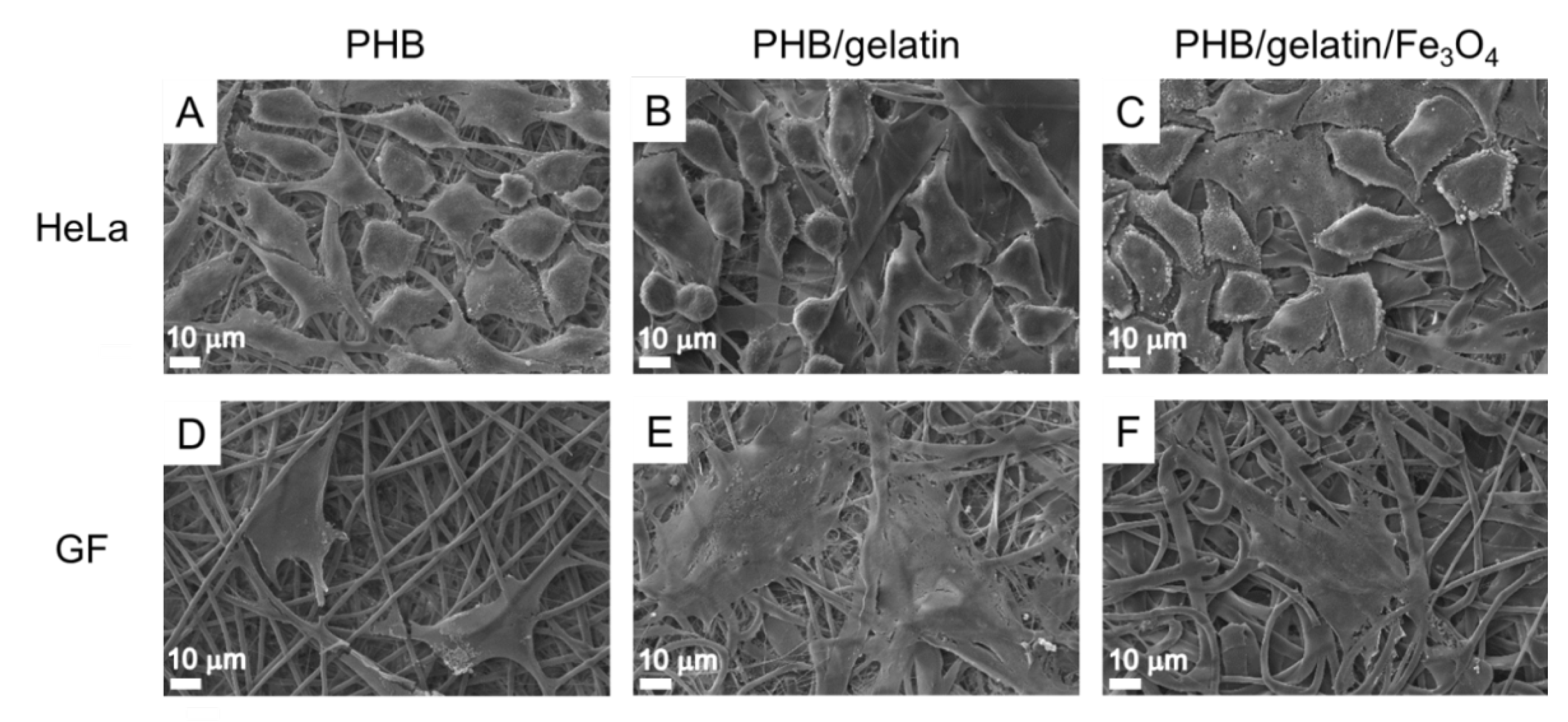 Polymers 14 00529 g007