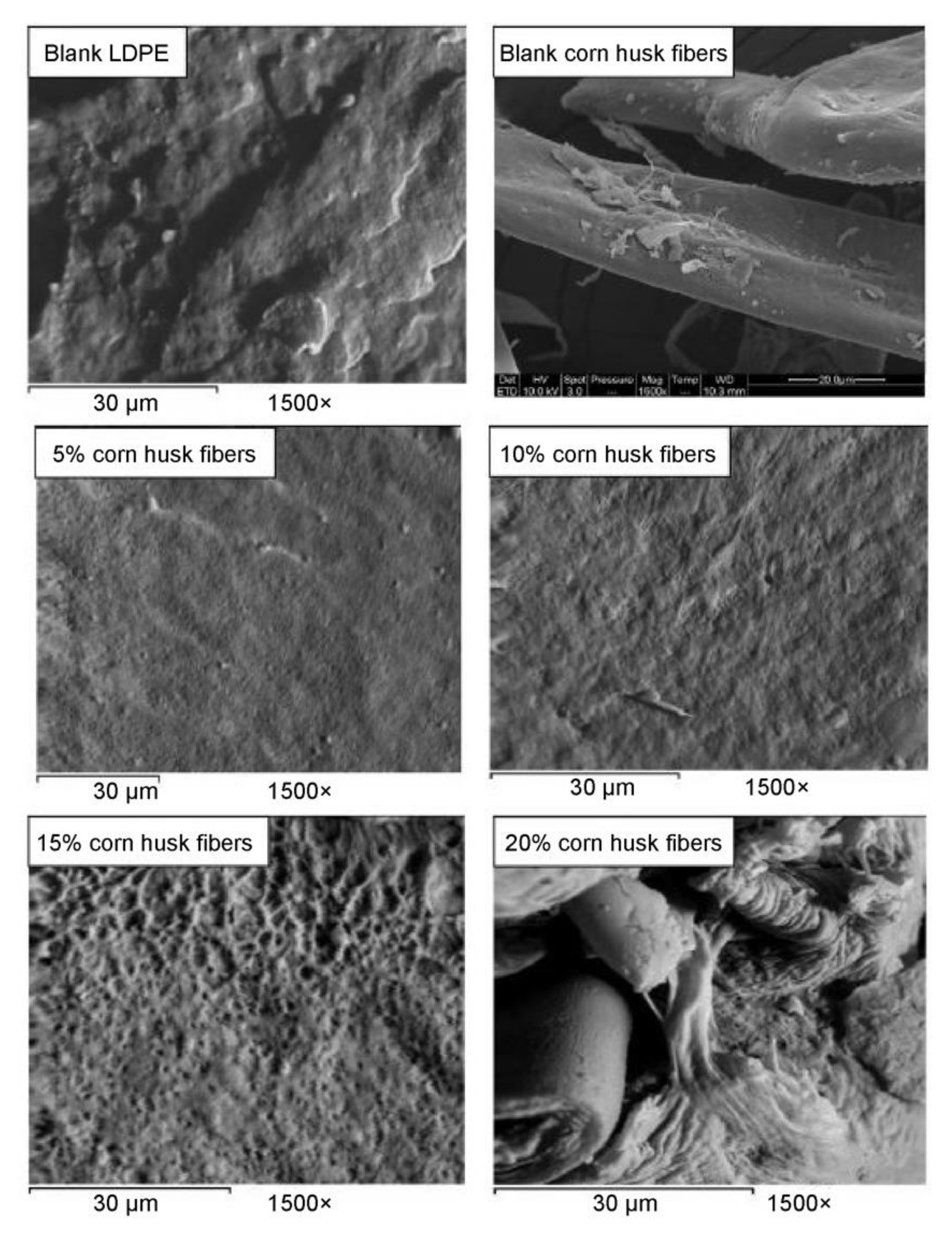 Polymers 14 00530 g005