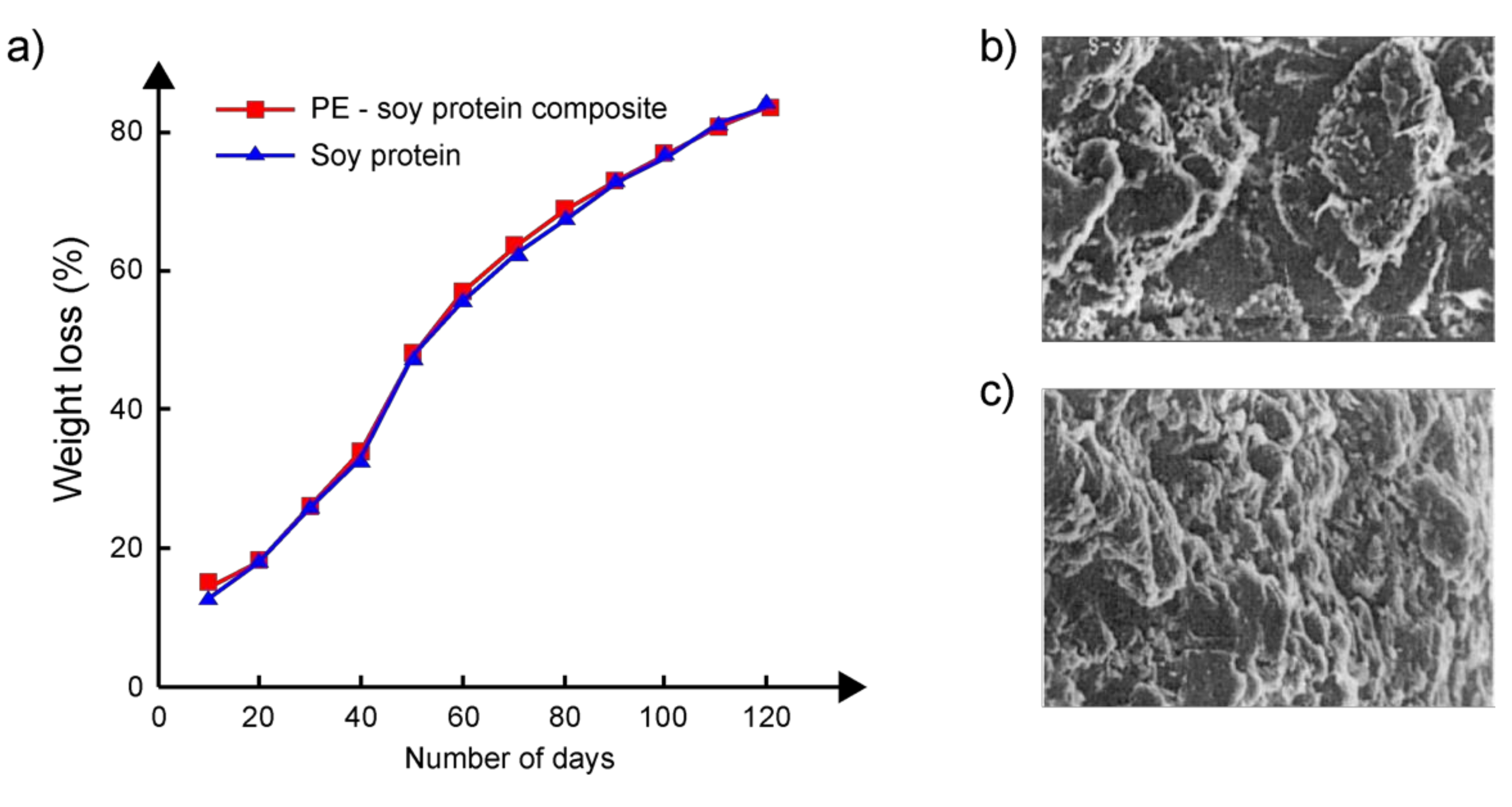 Polymers 14 00530 g006