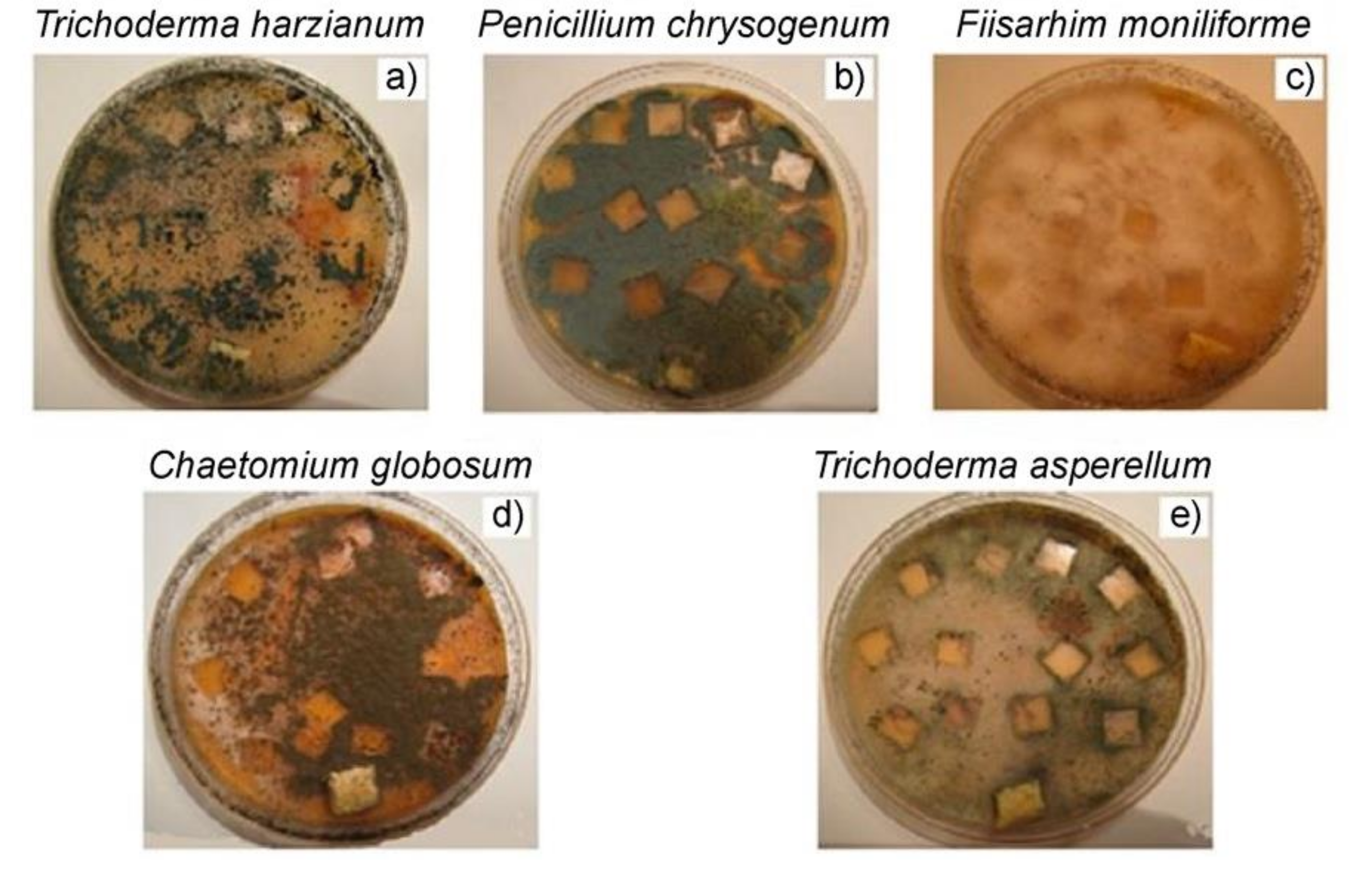 Polymers 14 00530 g008