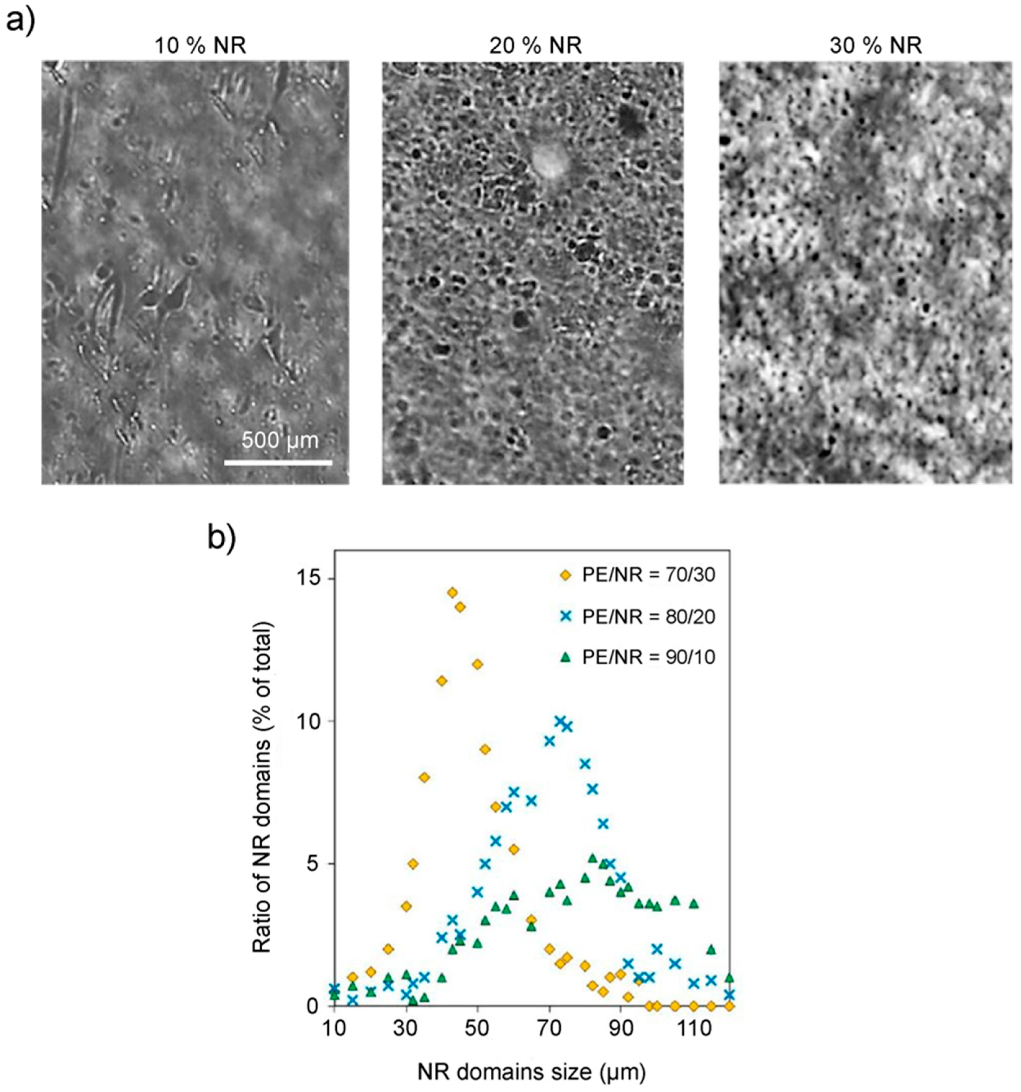 Polymers 14 00530 g009