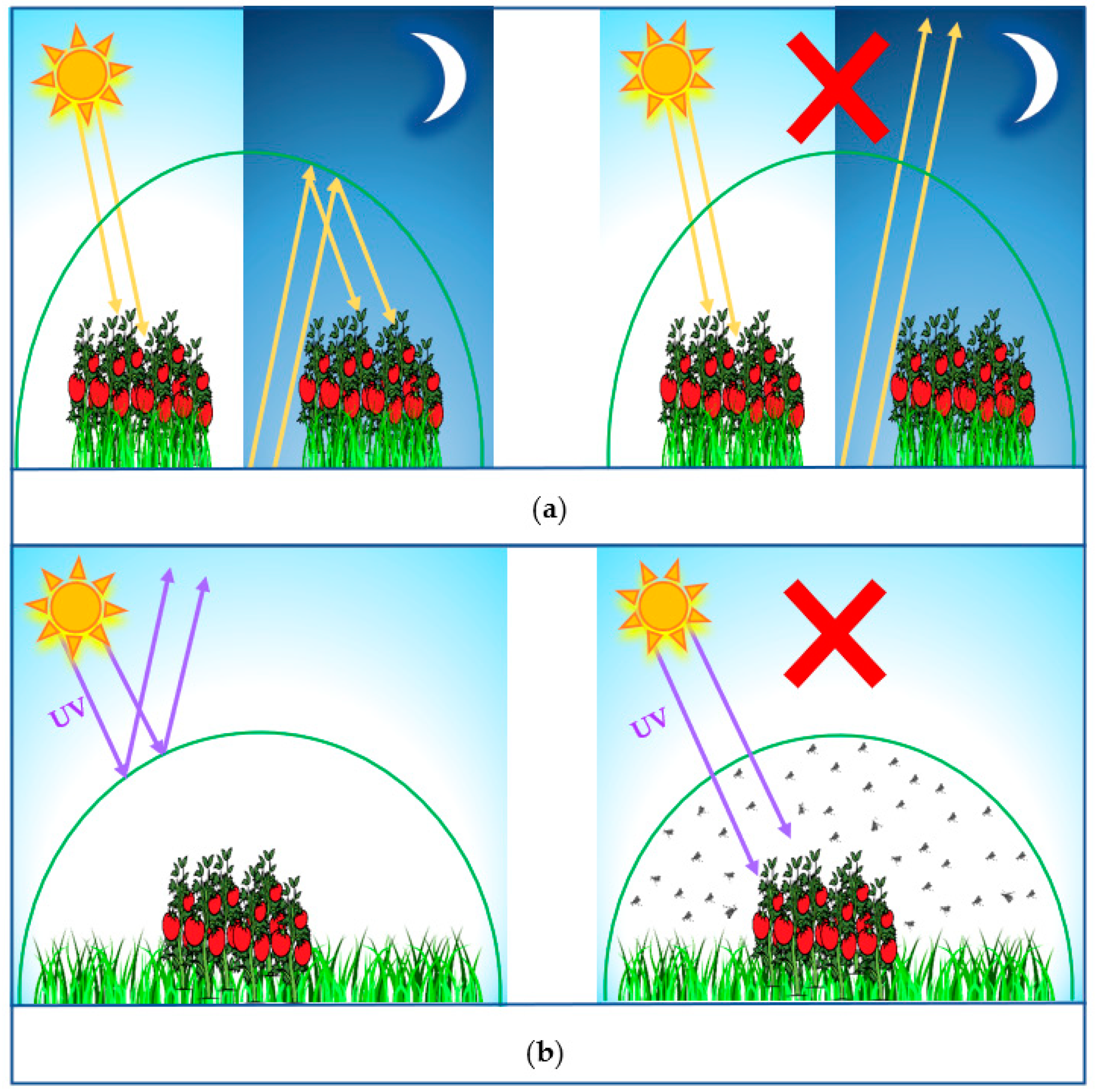 Polymers 14 00531 g001