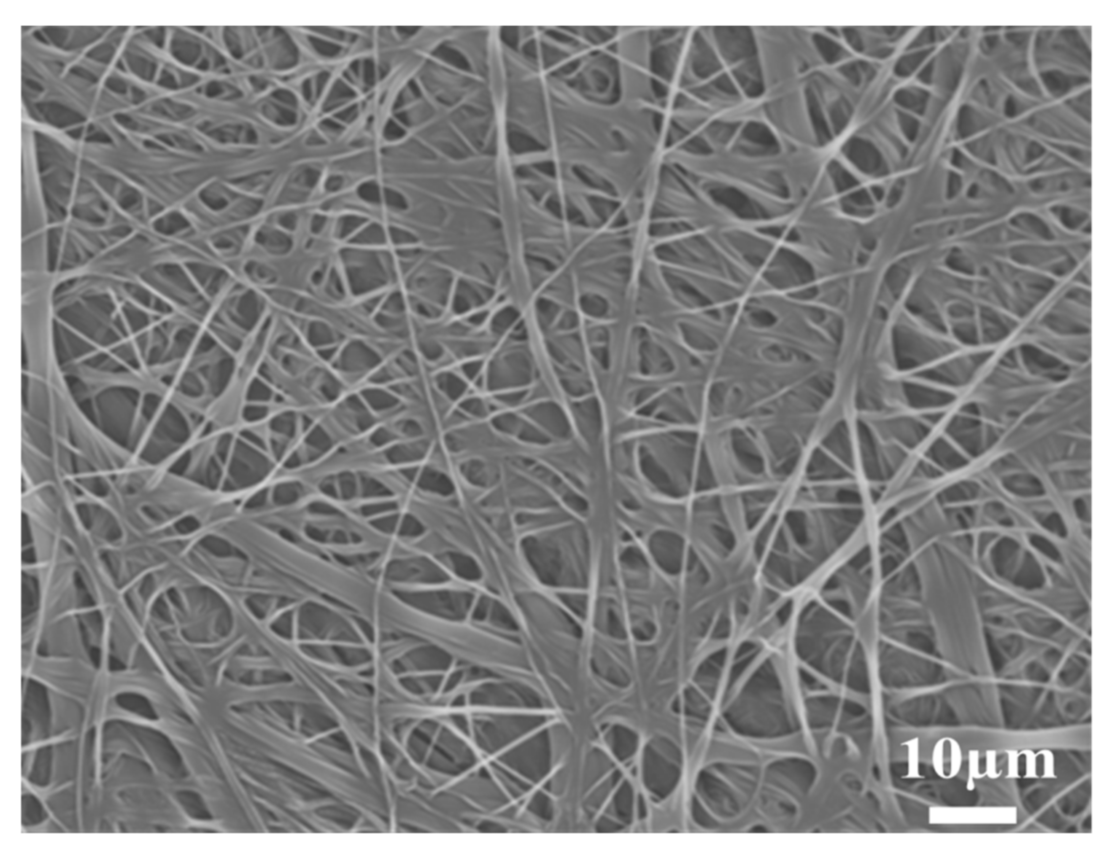 Polymers 14 00537 g003 Polymers 14 00537 g003