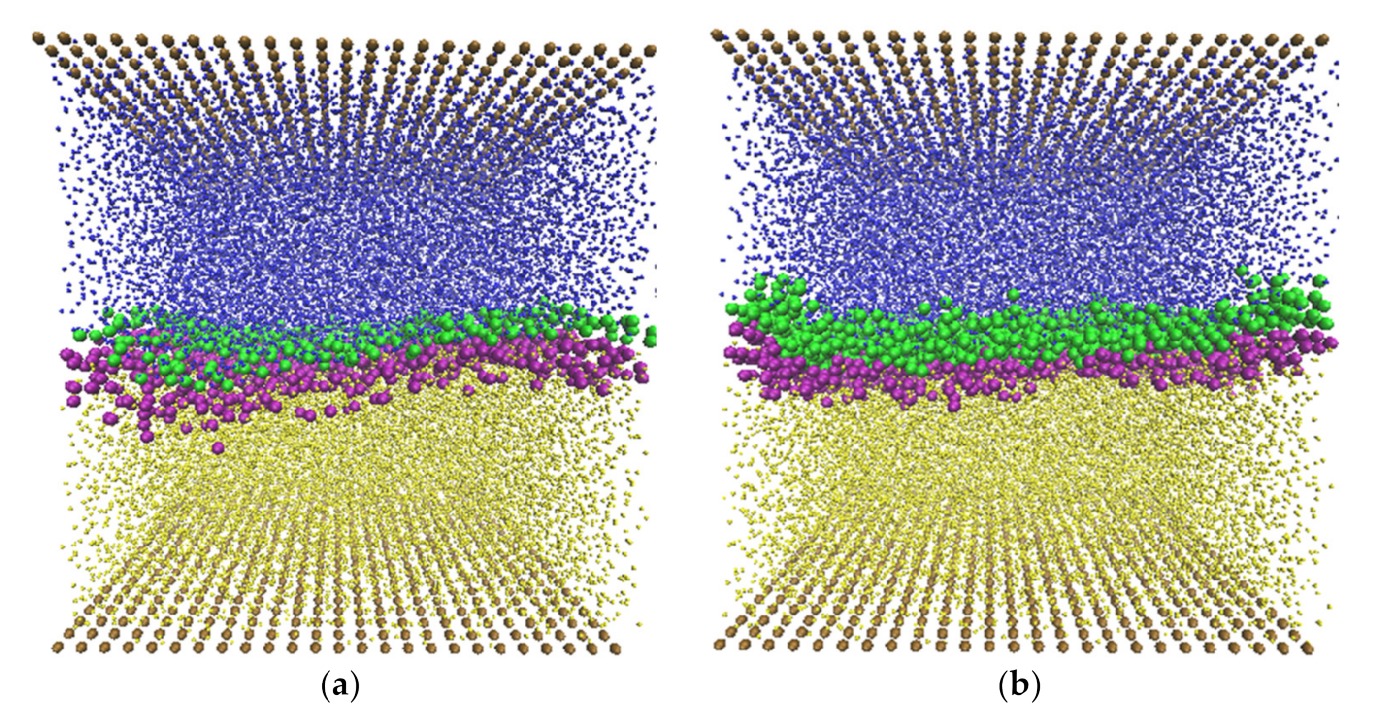 Polymers 14 00543 g006