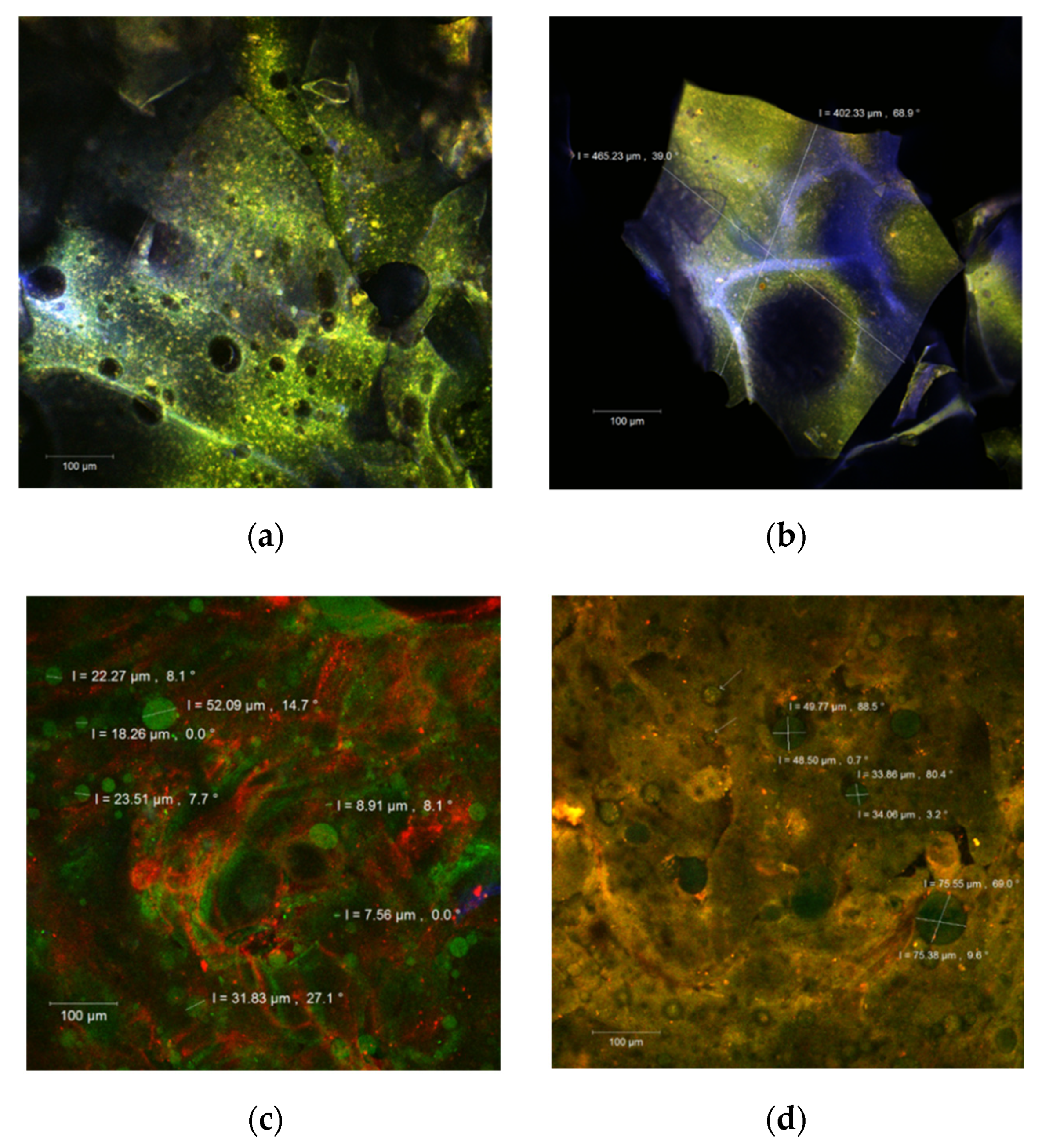 Polymers 14 00548 g001
