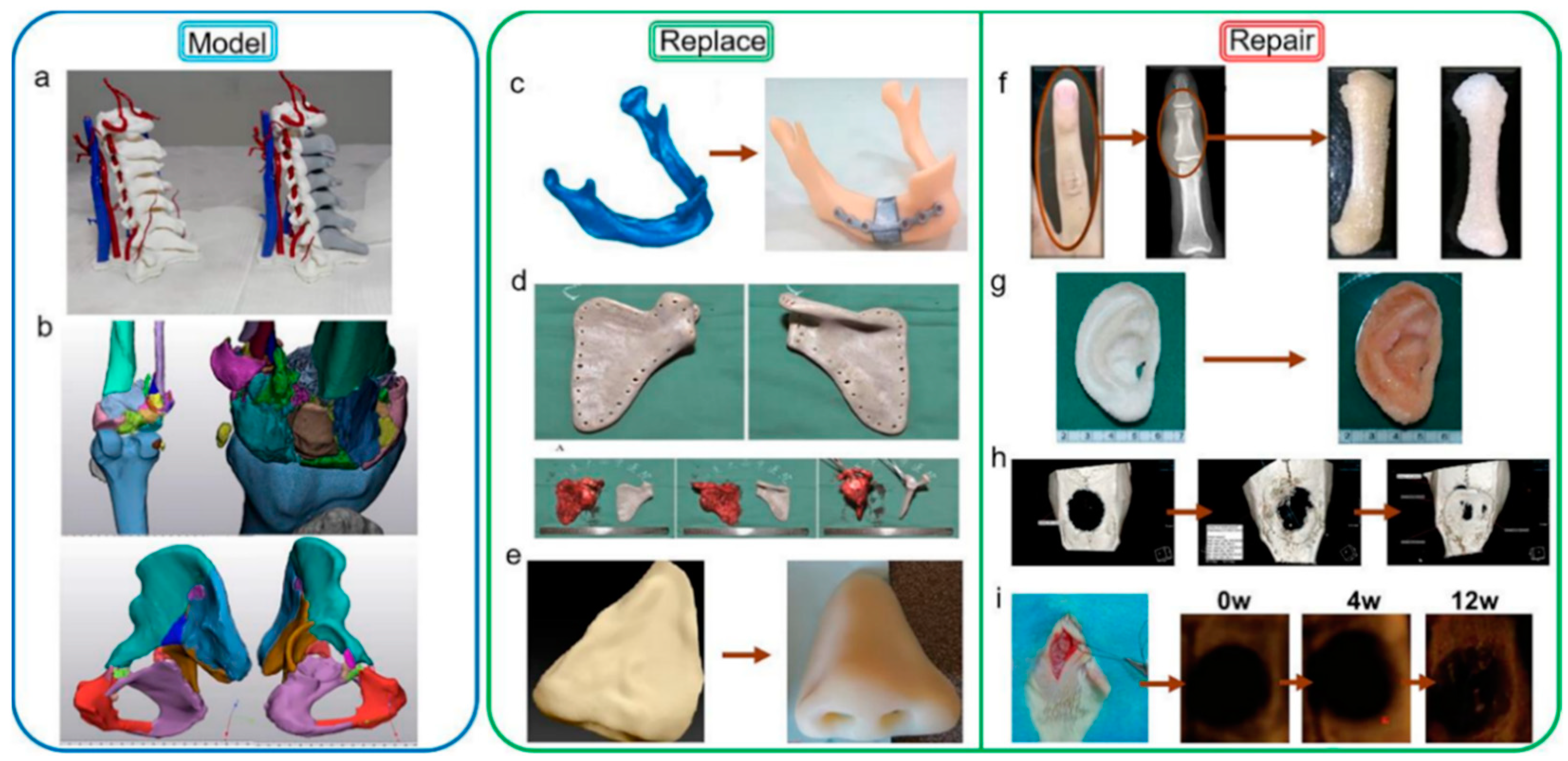 Polymers 14 00566 g004 Polymers 14 00566 g004