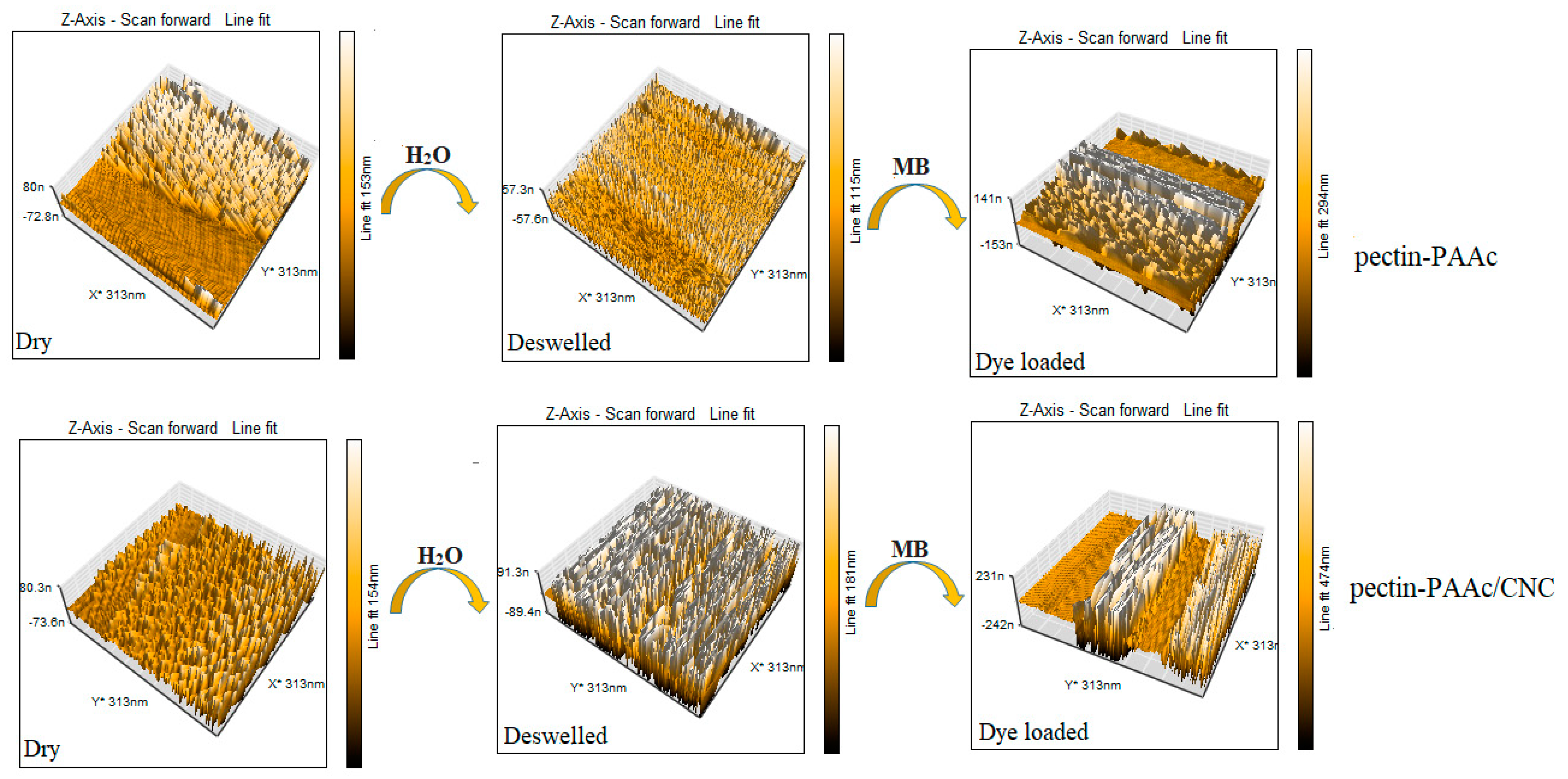 Polymers 14 00567 g013