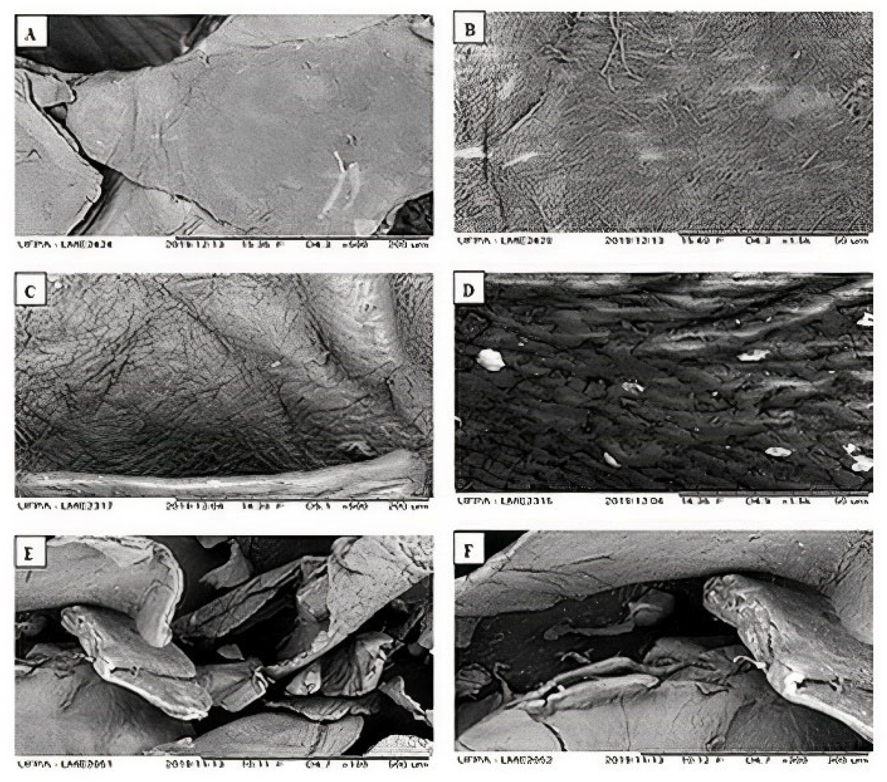 Polymers 14 00573 g004