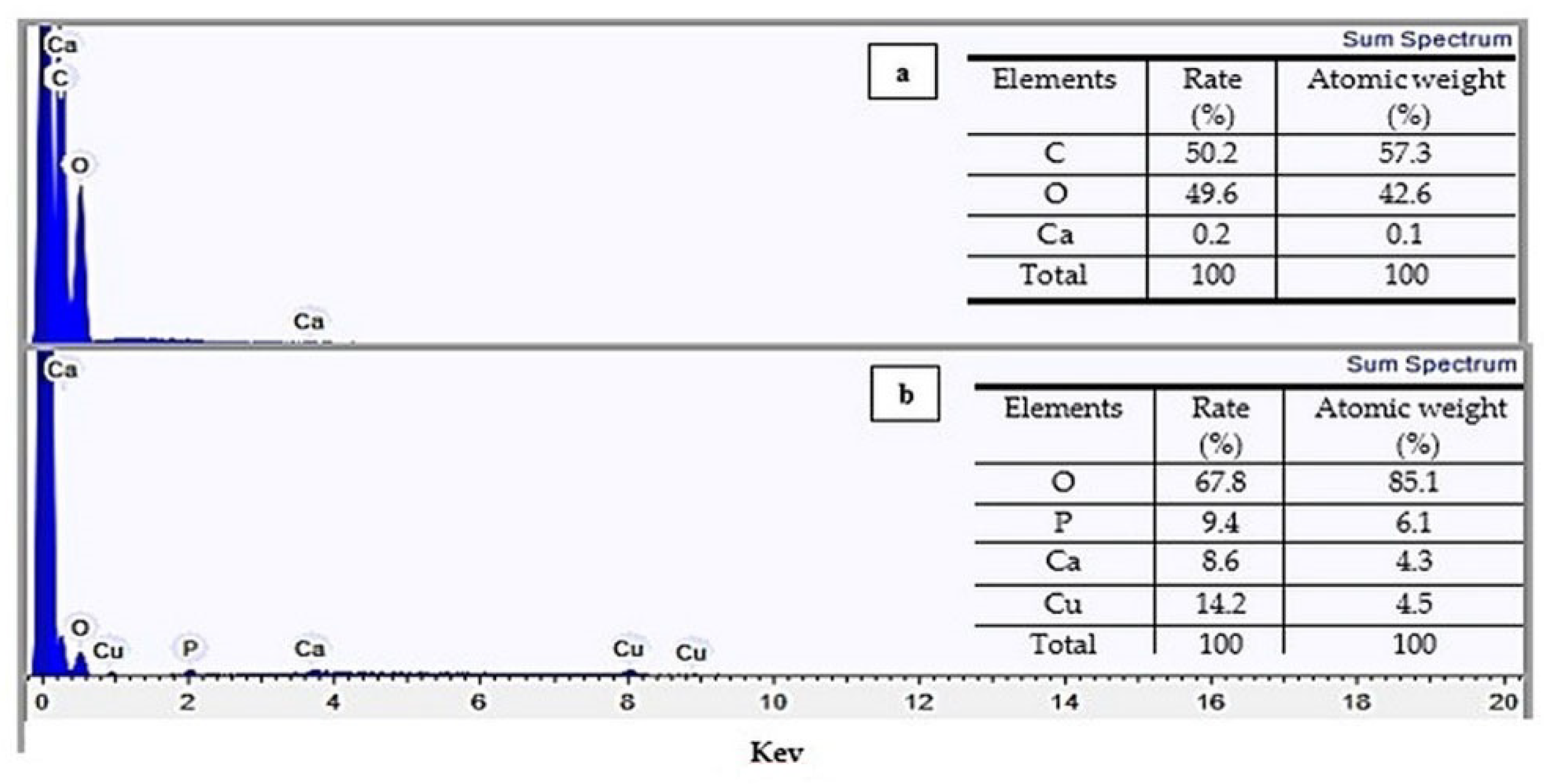 Polymers 14 00573 g005