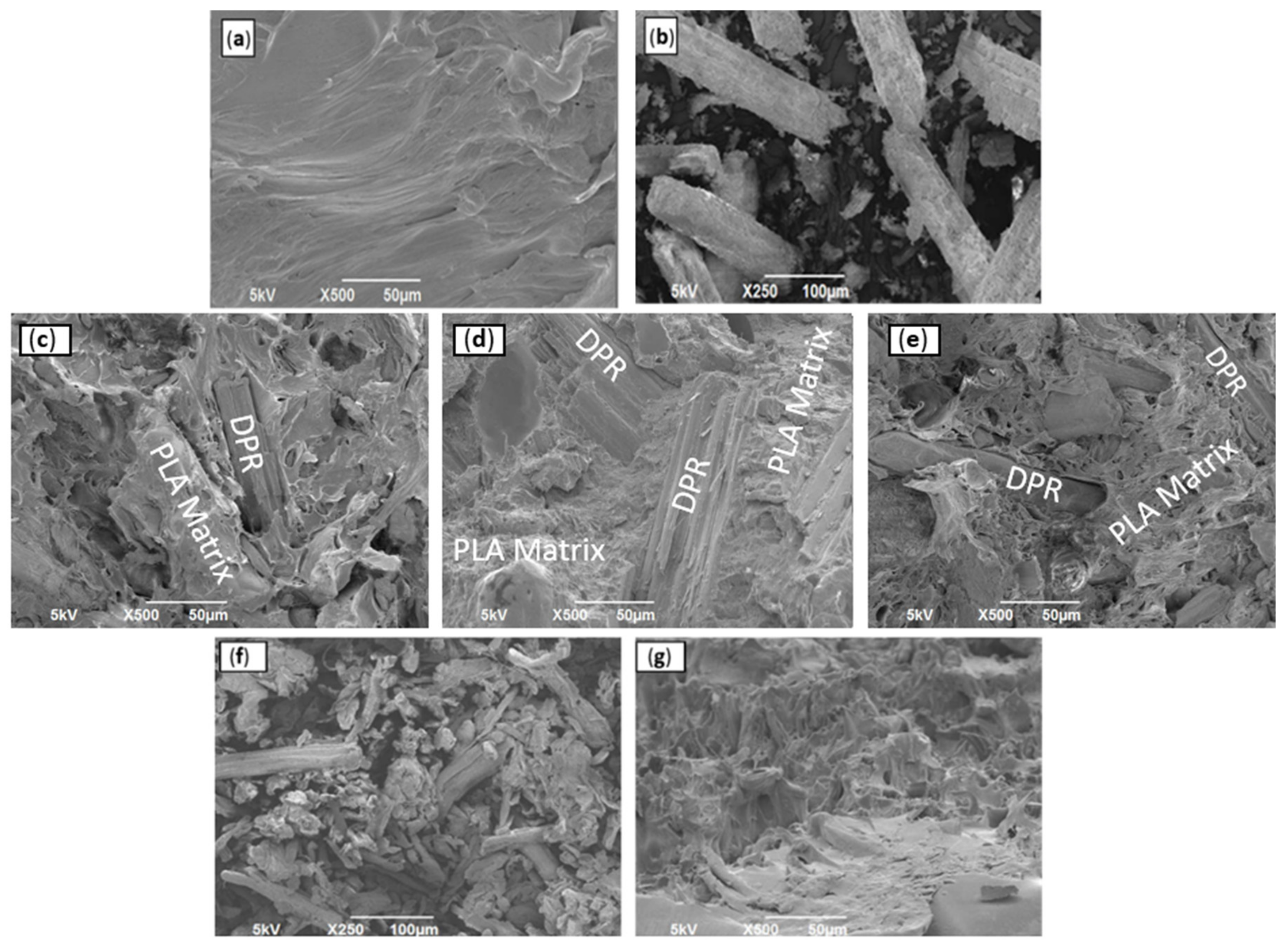 Polymers 14 00574 g008 Polymers 14 00574 g008
