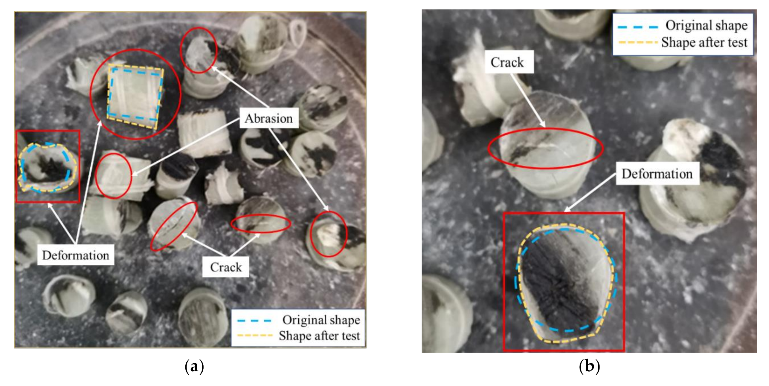 Polymers 14 00581 g004