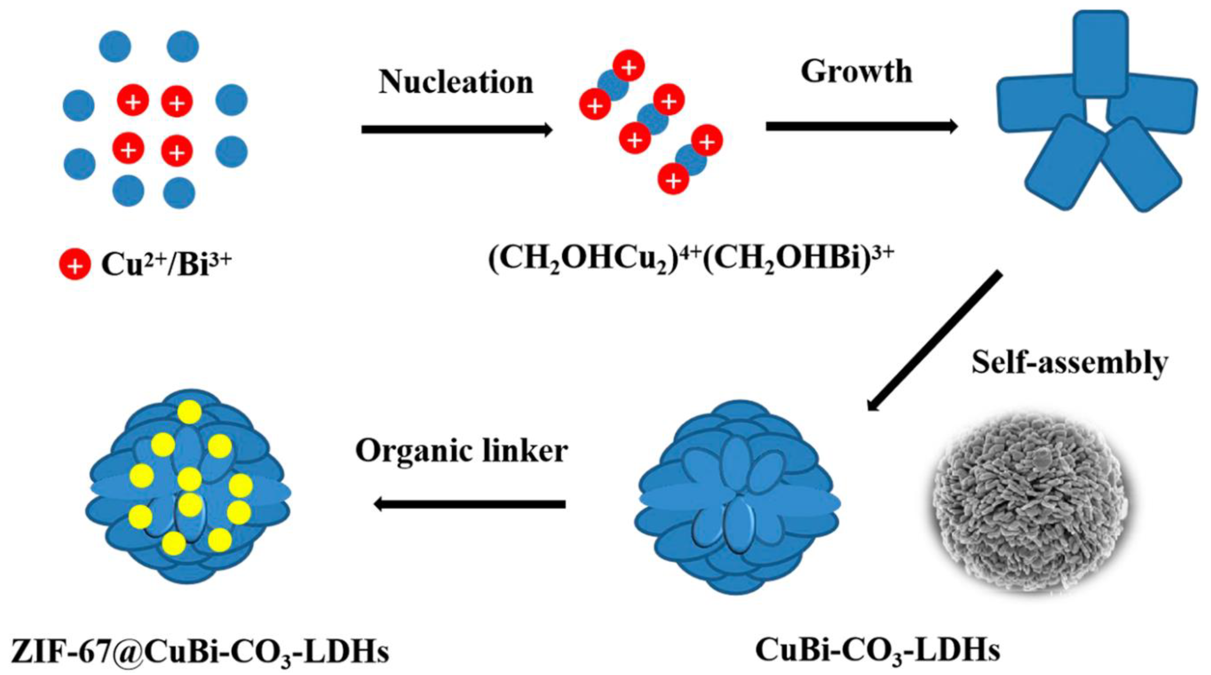 Polymers 14 00583 g002