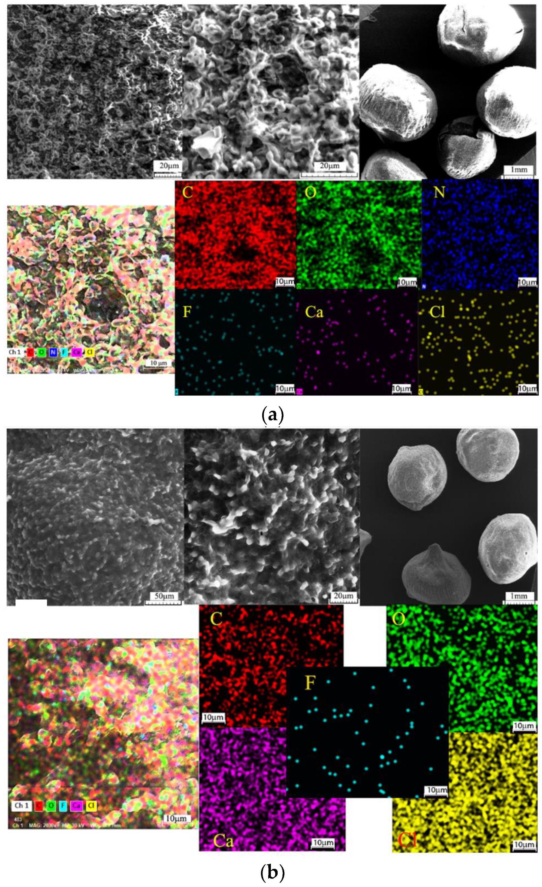 Polymers 14 00588 g003