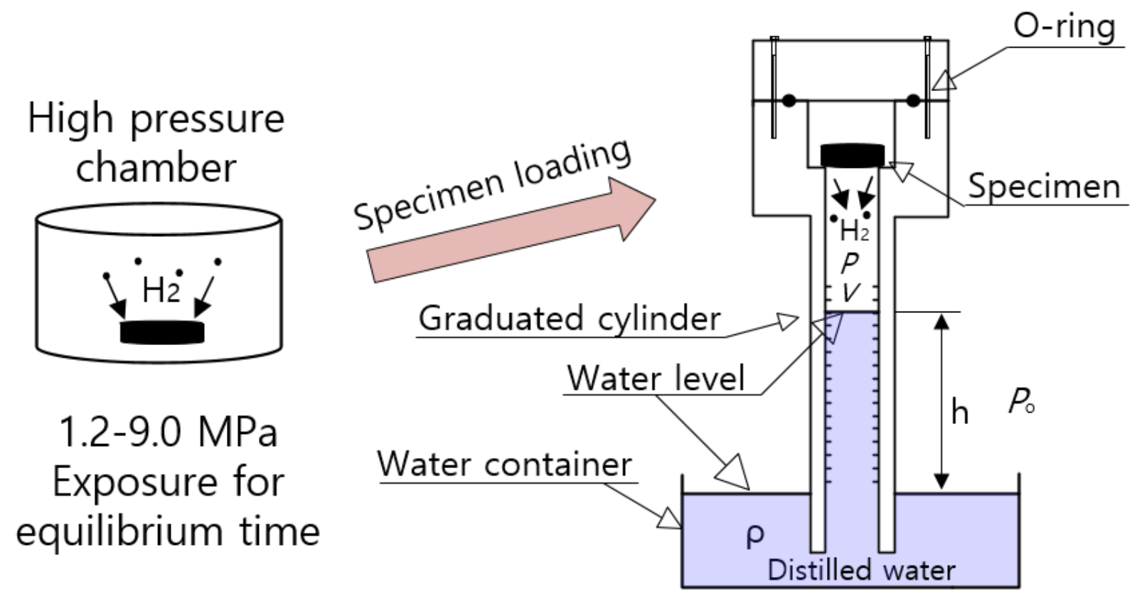 Polymers 14 00592 g001