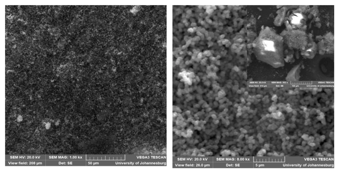 Polymers 14 00595 g003 Polymers 14 00595 g003