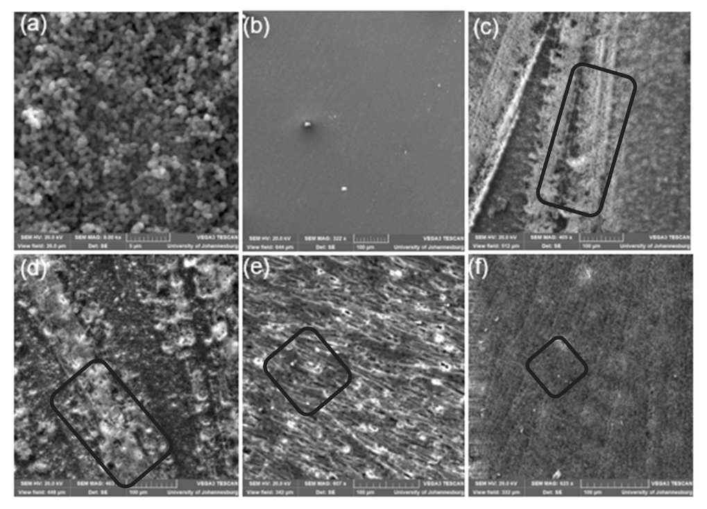 Polymers 14 00595 g007 Polymers 14 00595 g007