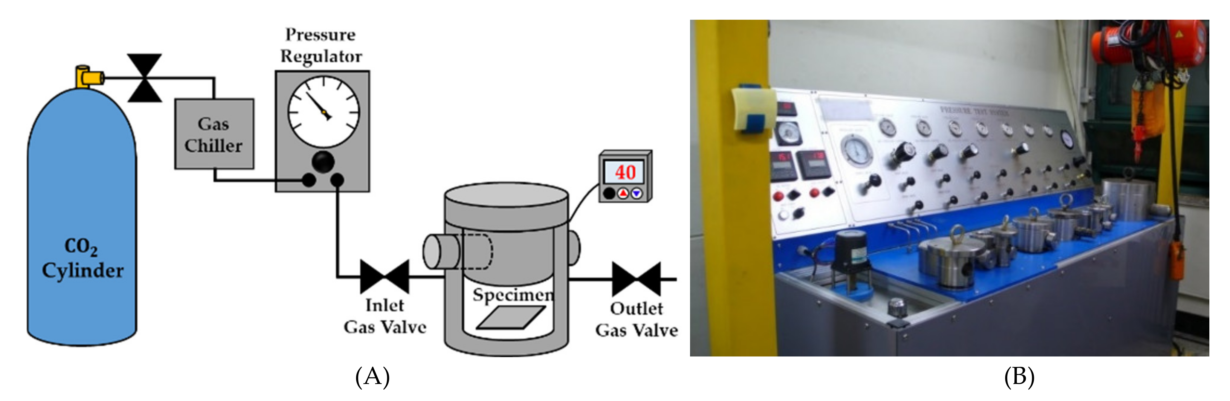 Polymers 14 00596 g002