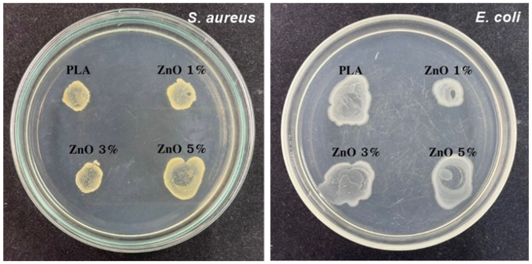 Polymers 14 00600 g008