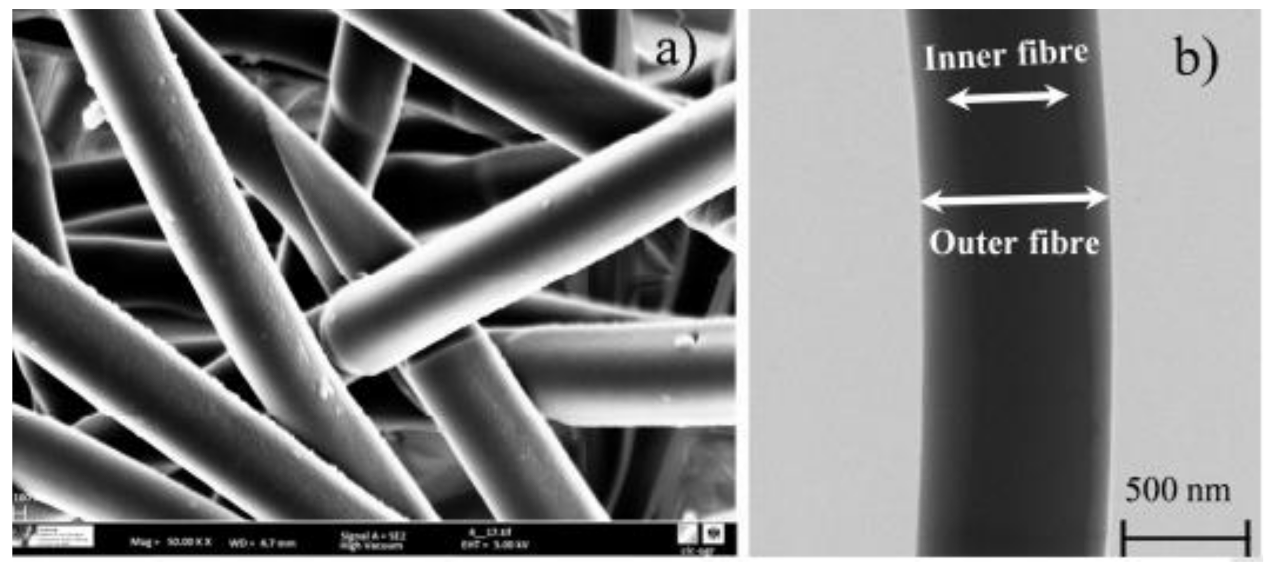 Polymers 14 00601 g013 Polymers 14 00601 g013