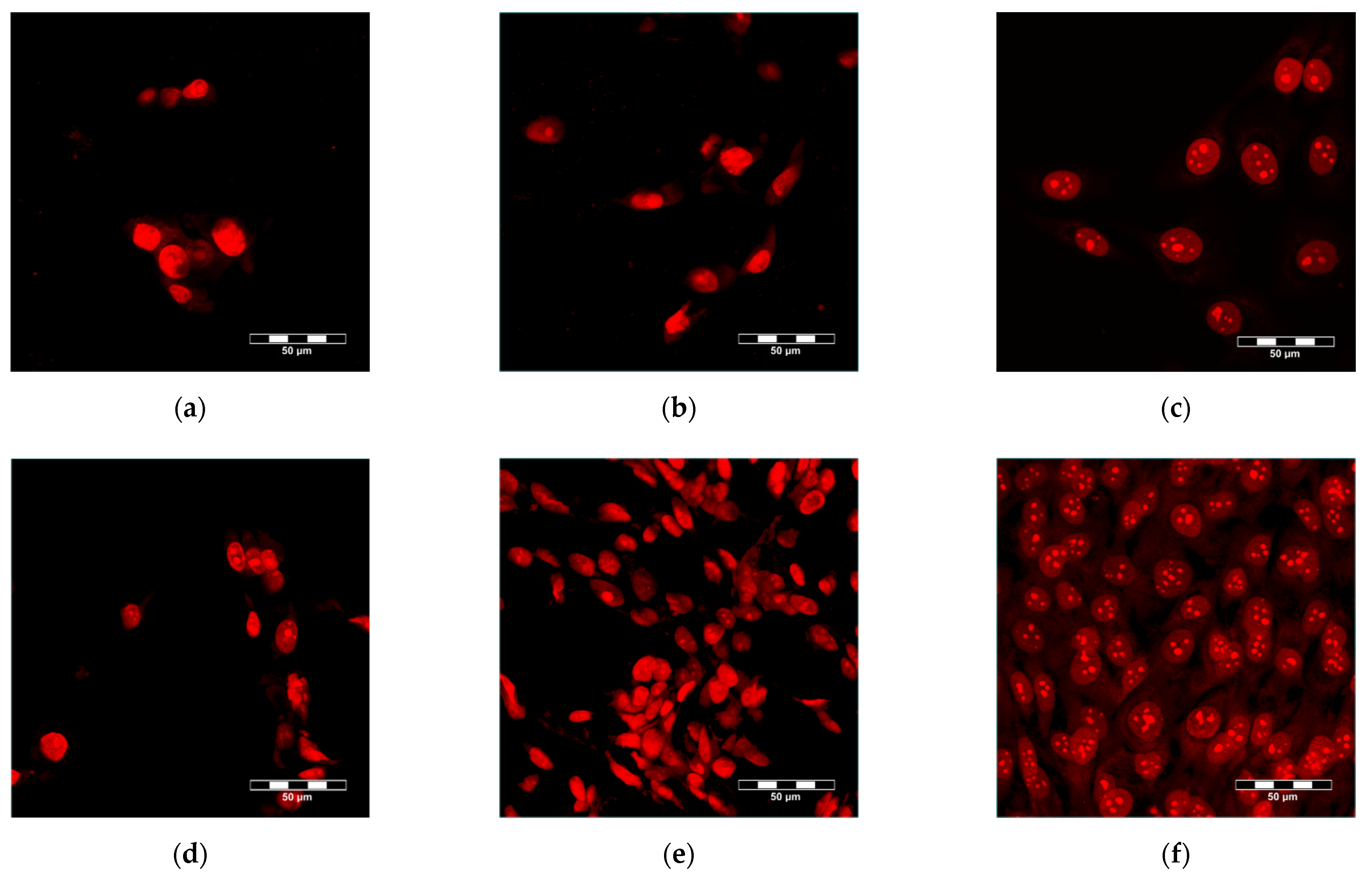 Polymers 14 00602 g008 Polymers 14 00602 g008