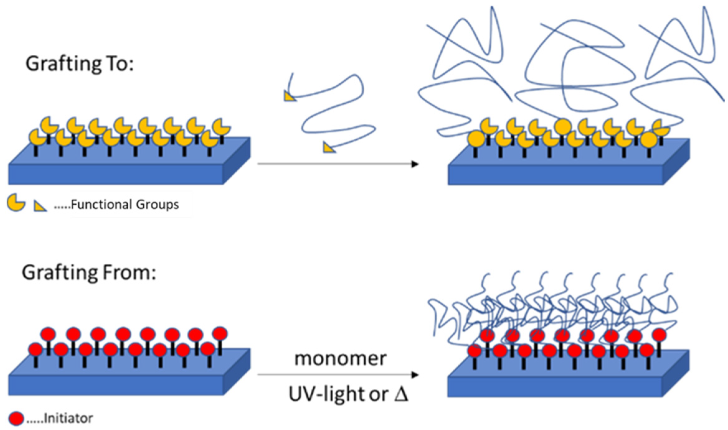 Polymers 14 00608 g001